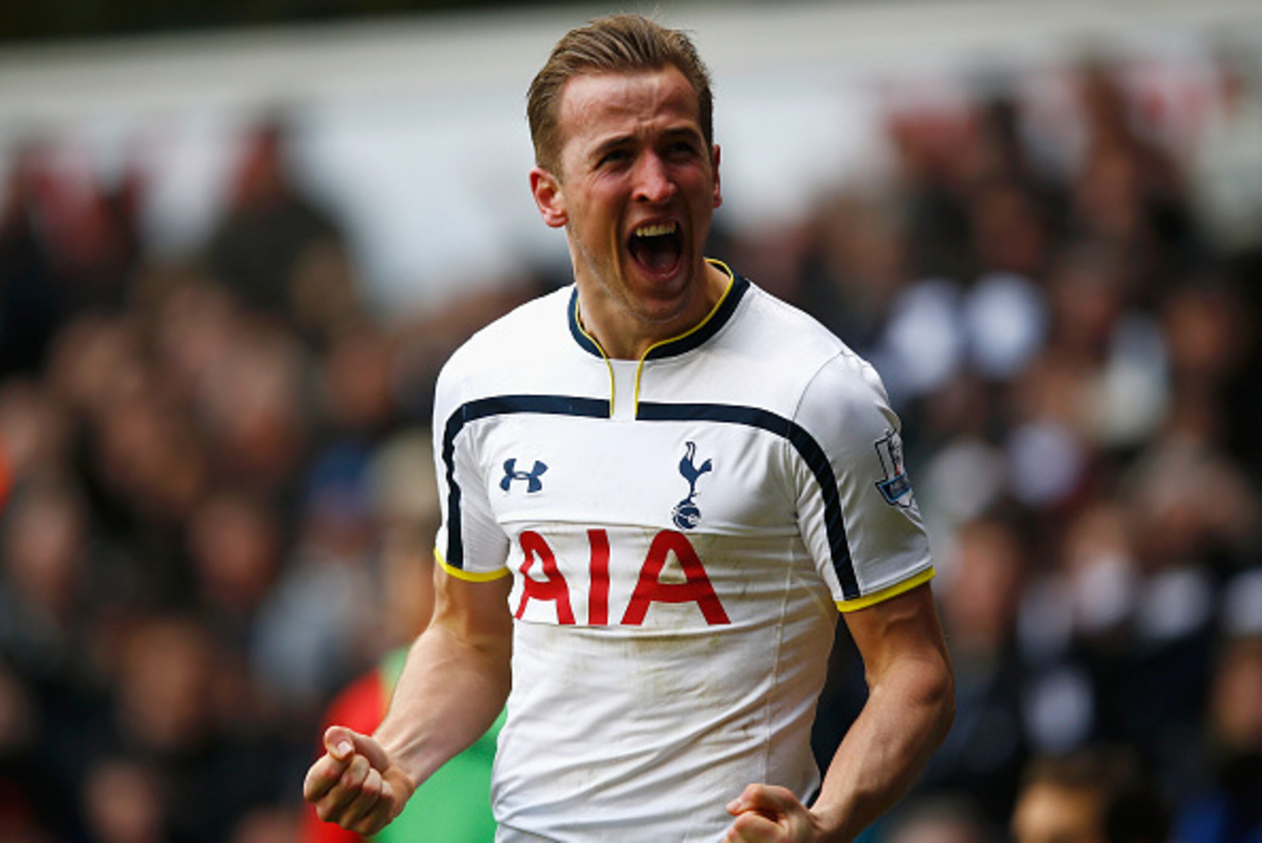 LONDON, ENGLAND - FEBRUARY 07: Harry Kane of Tottenham Hotspur celebrates scoring his goal during the Barclays Premier League match between Tottenham Hotspur and Arsenal at White Hart Lane on February 7, 2015 in London, England.  (Photo by Clive Rose/Gett