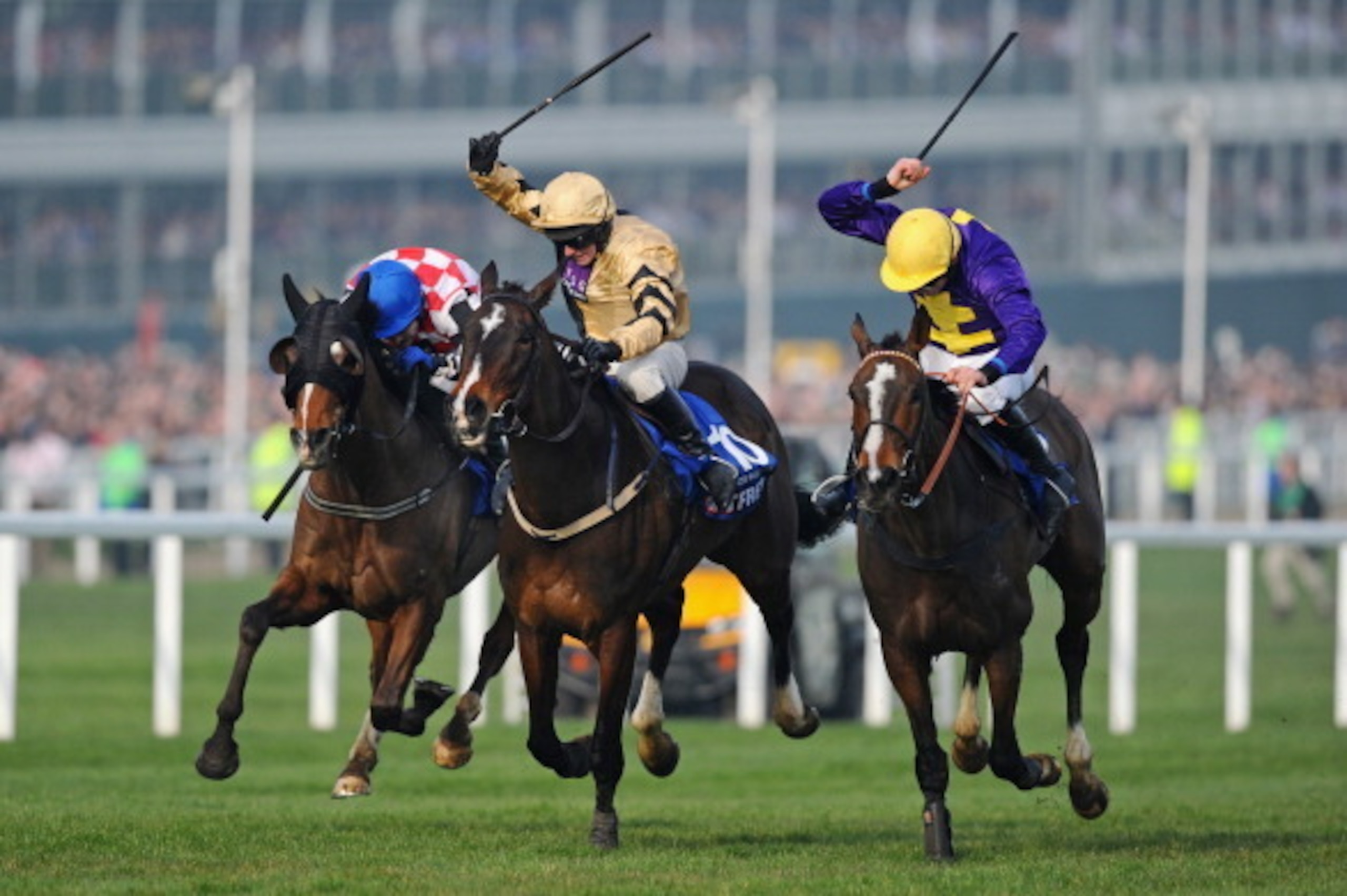CHELTENHAM, ENGLAND - MARCH 14: Davy Russell on Lord Windermere (R) win from David Casey on On His Own (centre) and Tom Scudamore on The Giant Bolster during the Betfred Cheltenham Gold Cup Chase at Cheltenham Racecourse on March 14, 2014 in Cheltenham, CHELTENHAM, ENGLAND - MARCH 14: Davy Russell on Lord Windermere (R) win from David Casey on On His Own (centre) and Tom Scudamore on The Giant Bolster during the Betfred Cheltenham Gold Cup Chase at Cheltenham Racecourse on March 14, 2014 in Cheltenham,