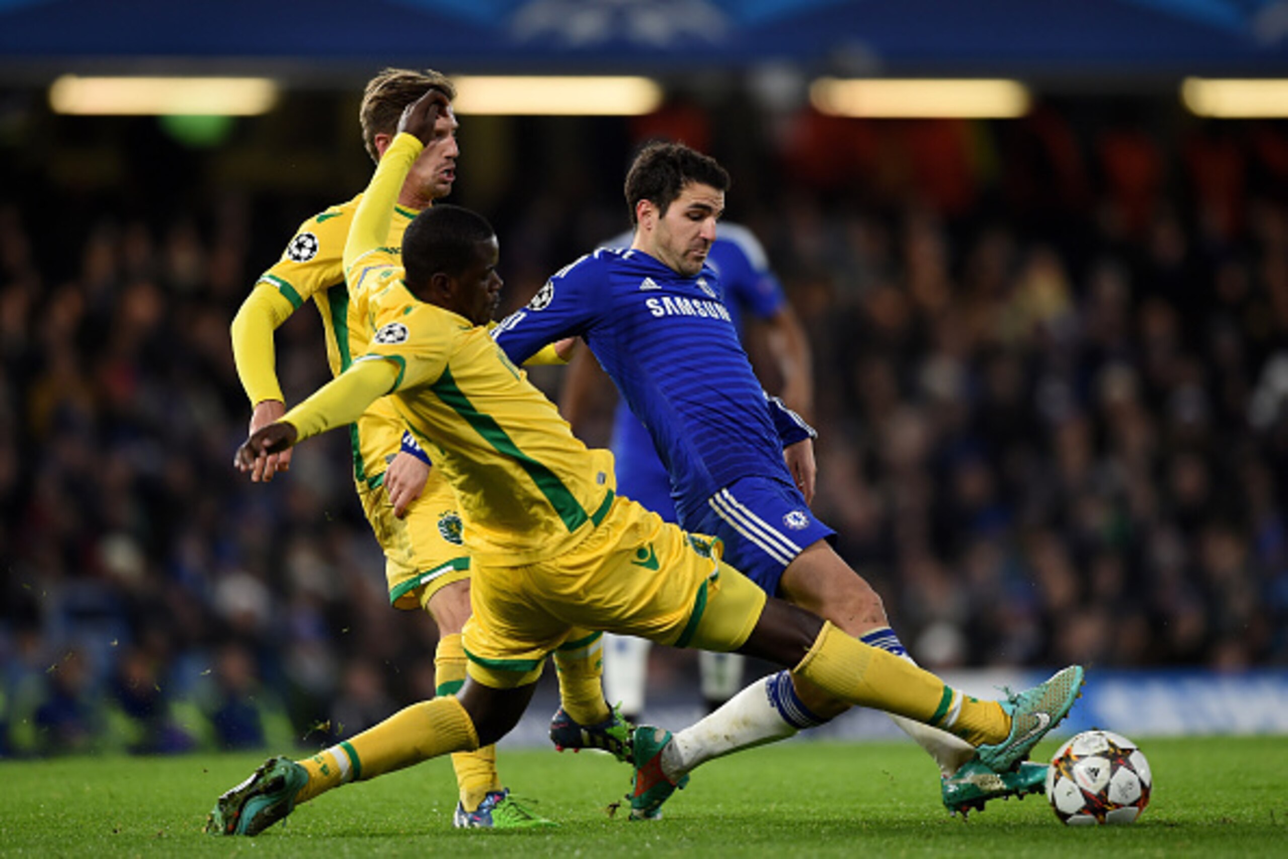LONDON, ENGLAND - DECEMBER 10:  Cesc Fabregas of Chelsea is tackled by William Carvalho of Sporting Lisbon during the UEFA Champions League group G match between Chelsea and Sporting Clube de Portugal at Stamford Bridge on December 10, 2014 in London, Uni