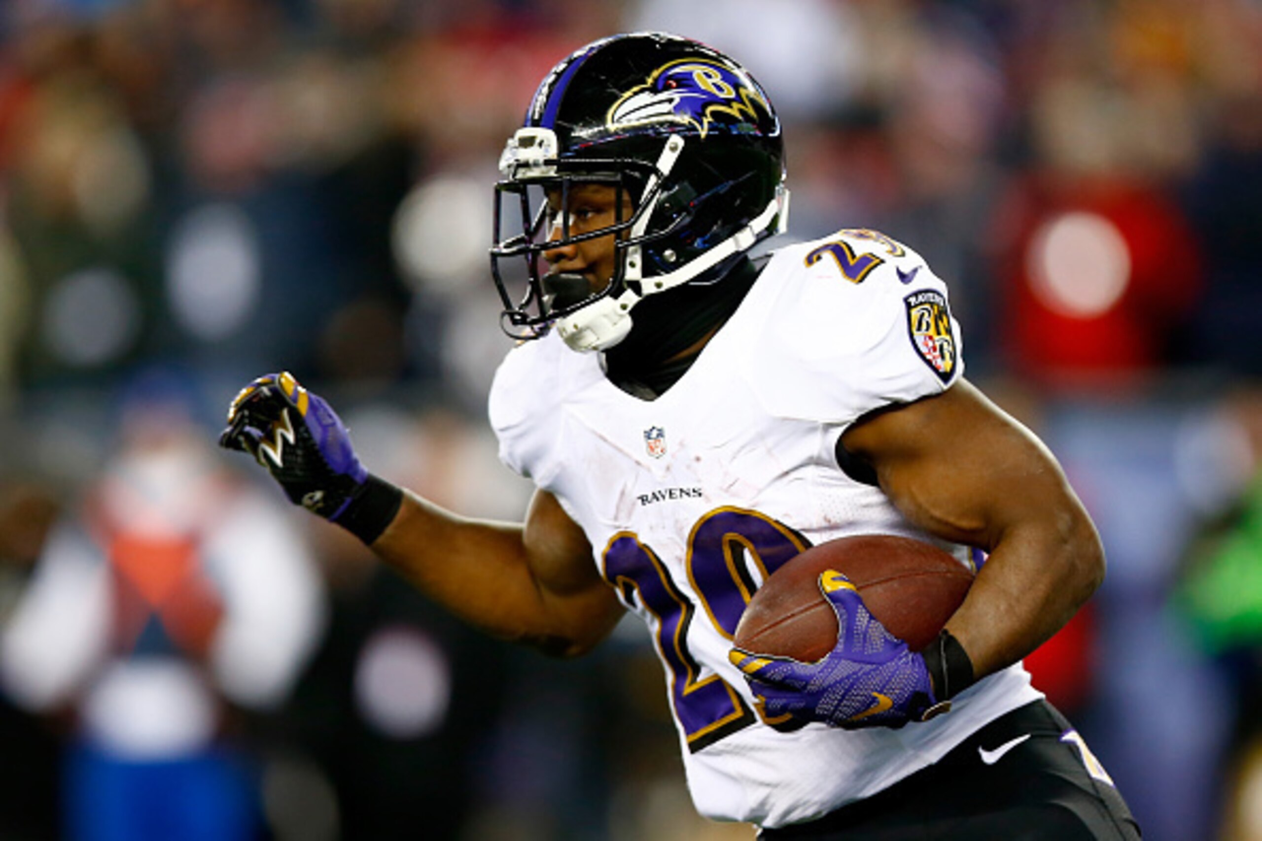FOXBORO, MA - JANUARY 10: Justin Forsett #29 of the Baltimore Ravens carries the ball during the second half of the 2015 AFC Divisional Playoffs game against the New England Patriots at Gillette Stadium on January 10, 2015 in Foxboro, Massachusetts. (Ph FOXBORO, MA - JANUARY 10: Justin Forsett #29 of the Baltimore Ravens carries the ball during the second half of the 2015 AFC Divisional Playoffs game against the New England Patriots at Gillette Stadium on January 10, 2015 in Foxboro, Massachusetts. (Ph