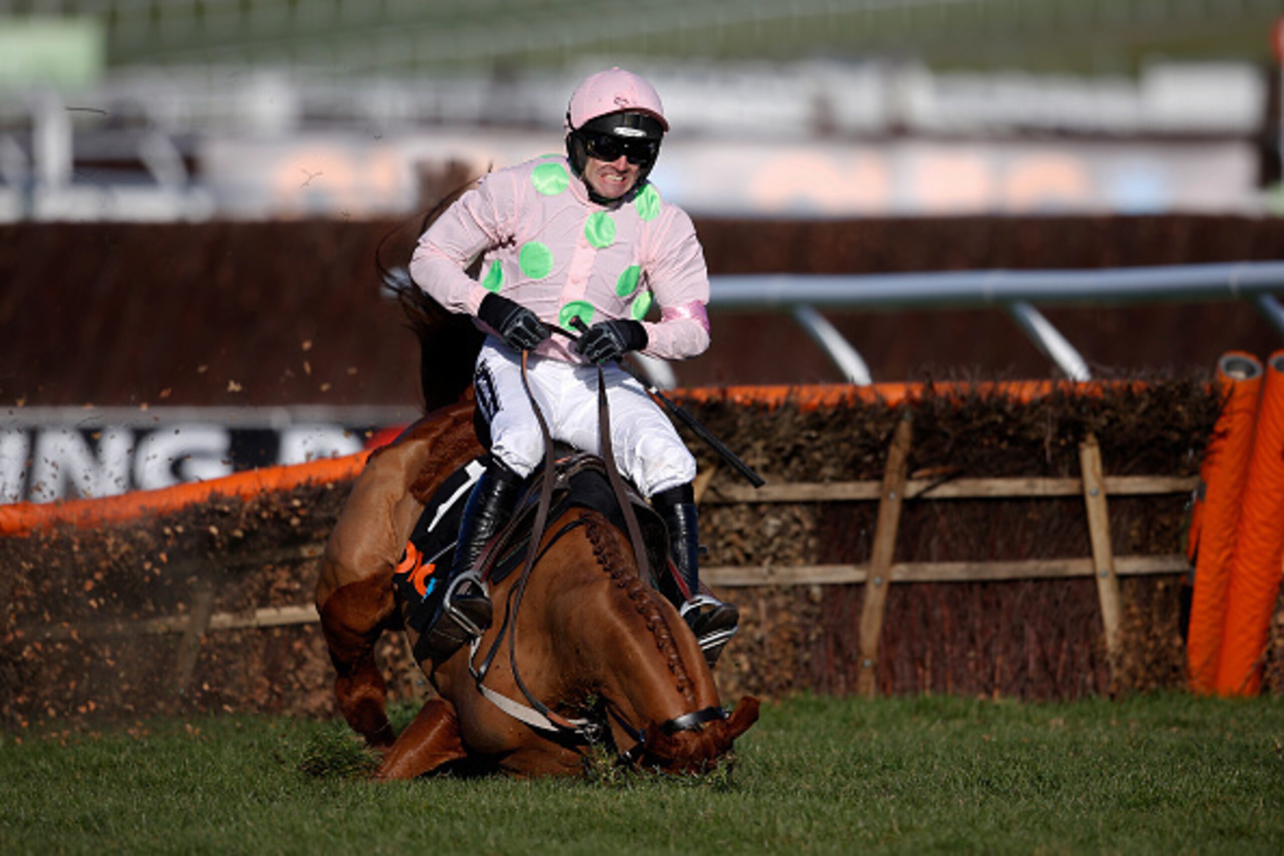 CHELTENHAM, ENGLAND - MARCH 10:  Ruby Walsh falls from Annie Power at the last when clear in The OLBG Mare' Hurdle Race at Cheltenham racecourse on March 10, 2015 in Cheltenham, England. (Photo by Alan Crowhurst/Getty Images)