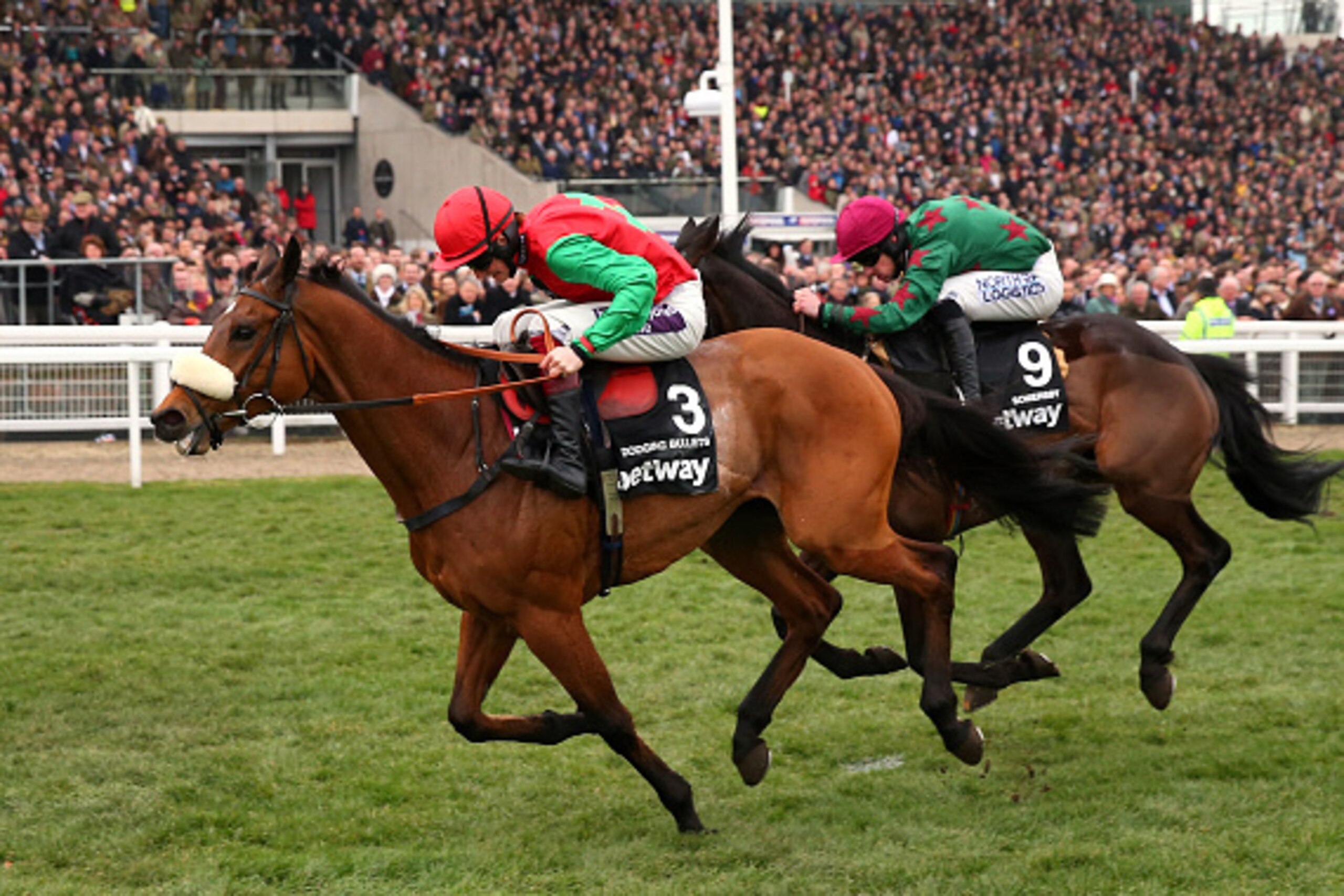 CHELTENHAM, ENGLAND - MARCH 11:  Dodging Bullets ridden by Sam Twiston-Davies passes in front of the grandstand ahead of Somersby ridden by Brian Hughes to win the Betway Queen Mother Champion Chase during Ladies Day at the Cheltenham Festival at Cheltenh