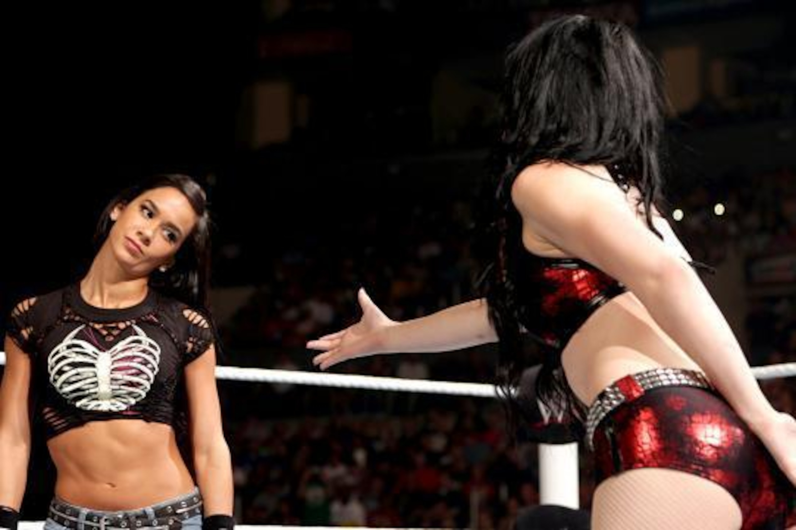 AJ Lee and Paige