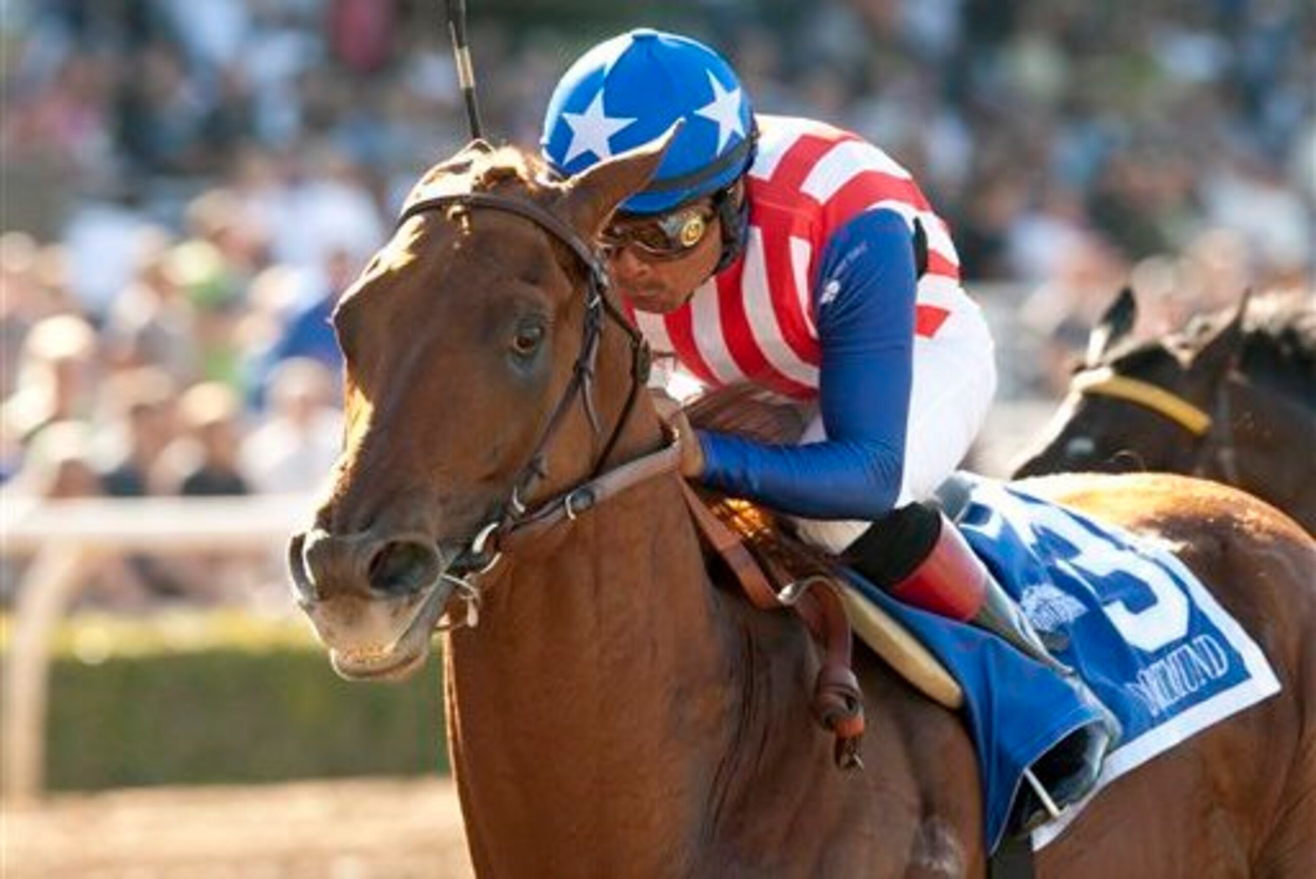 Dortmund remained undefeated with his victory in the San Felipe at Santa Anita.