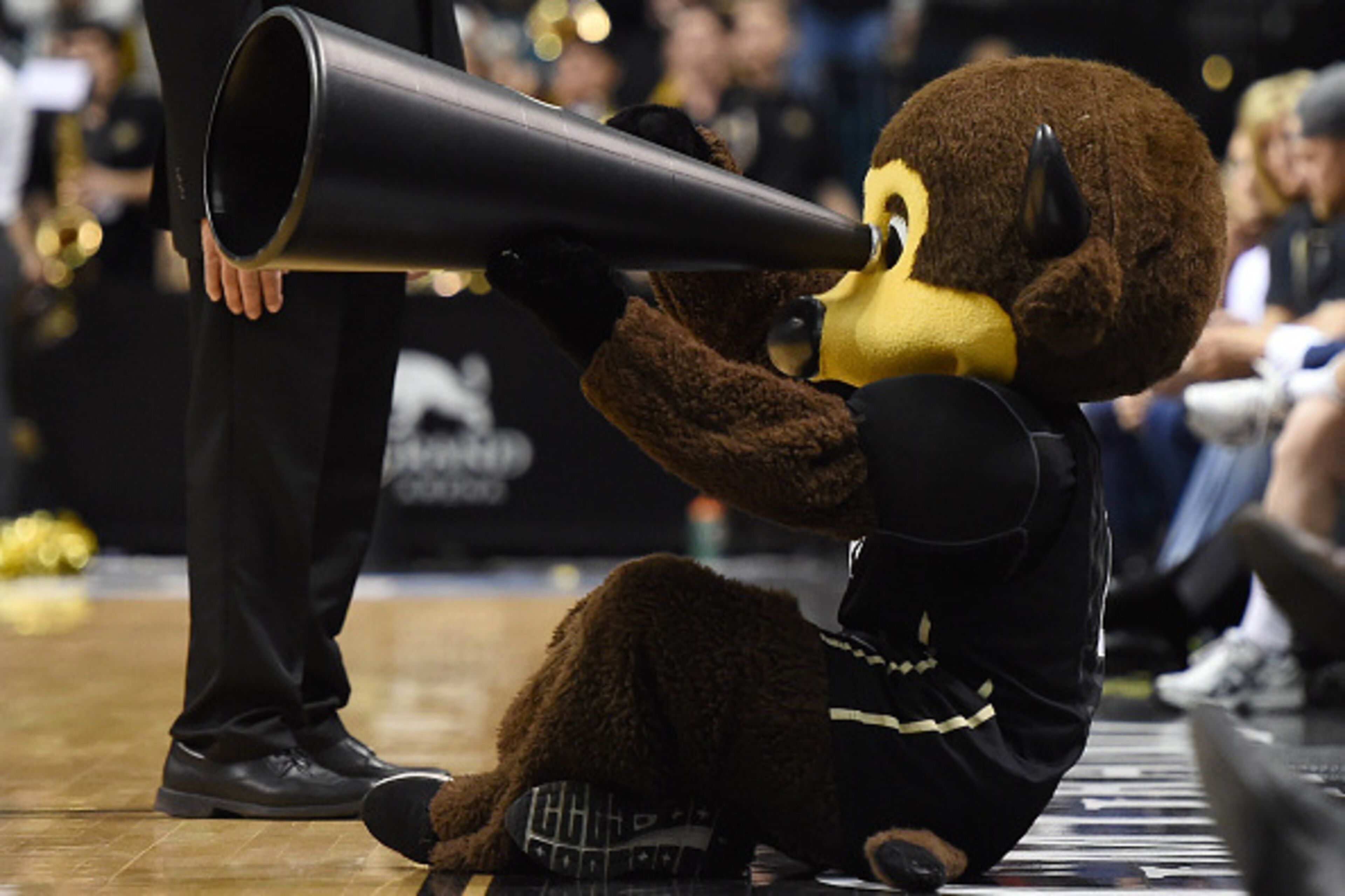 LAS VEGAS, NV - MARCH 11:  Colorado Buffaloes mascot Chip jokes around on the court during a first-round game of the Pac-12 Basketball Tournament against the Oregon State Beavers at the MGM Grand Garden Arena on March 11, 2015 in Las Vegas, Nevada. Colora