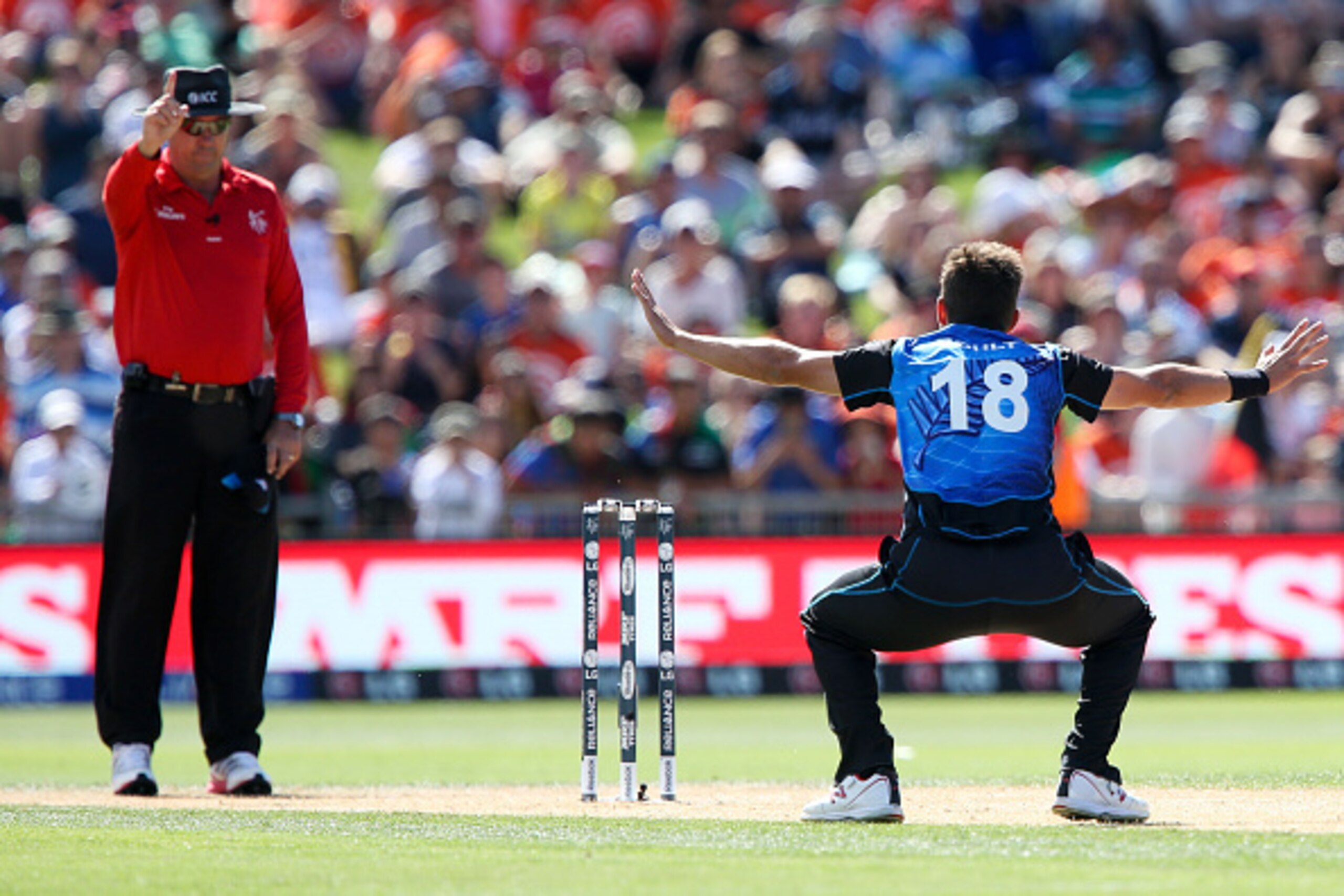 NAPIER, NEW ZEALAND - MARCH 08:  Trent Boult of New Zealand appeals successfully to umpire Johan Cloete of South Africa for the wicket of Javed Ahmadi of Afghanistan during the 2015 ICC Cricket World Cup match between New Zealand and Afghanistan at McLean