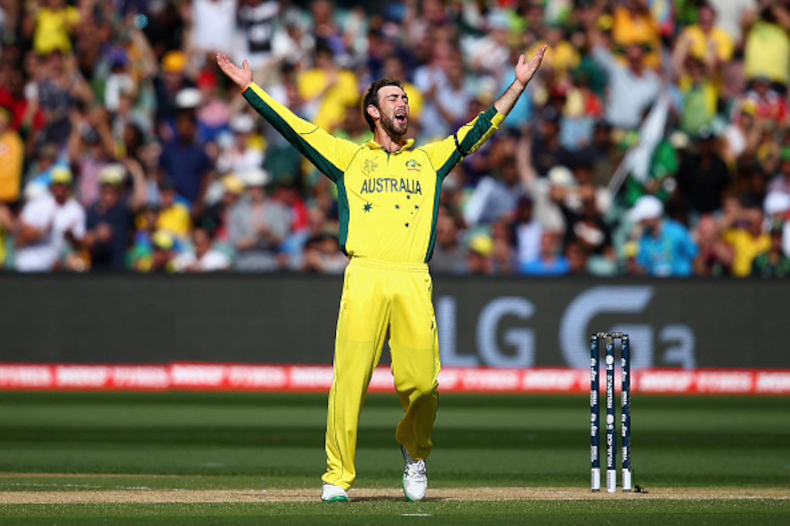 ADELAIDE, AUSTRALIA - MARCH 20:  Glenn Maxwell of Australia celebrates after taking the wicket of Umar Akmal of Pakistan during the 2015 ICC Cricket World Cup match between Australian and Pakistan at Adelaide Oval on March 20, 2015 in Adelaide, Australia.
