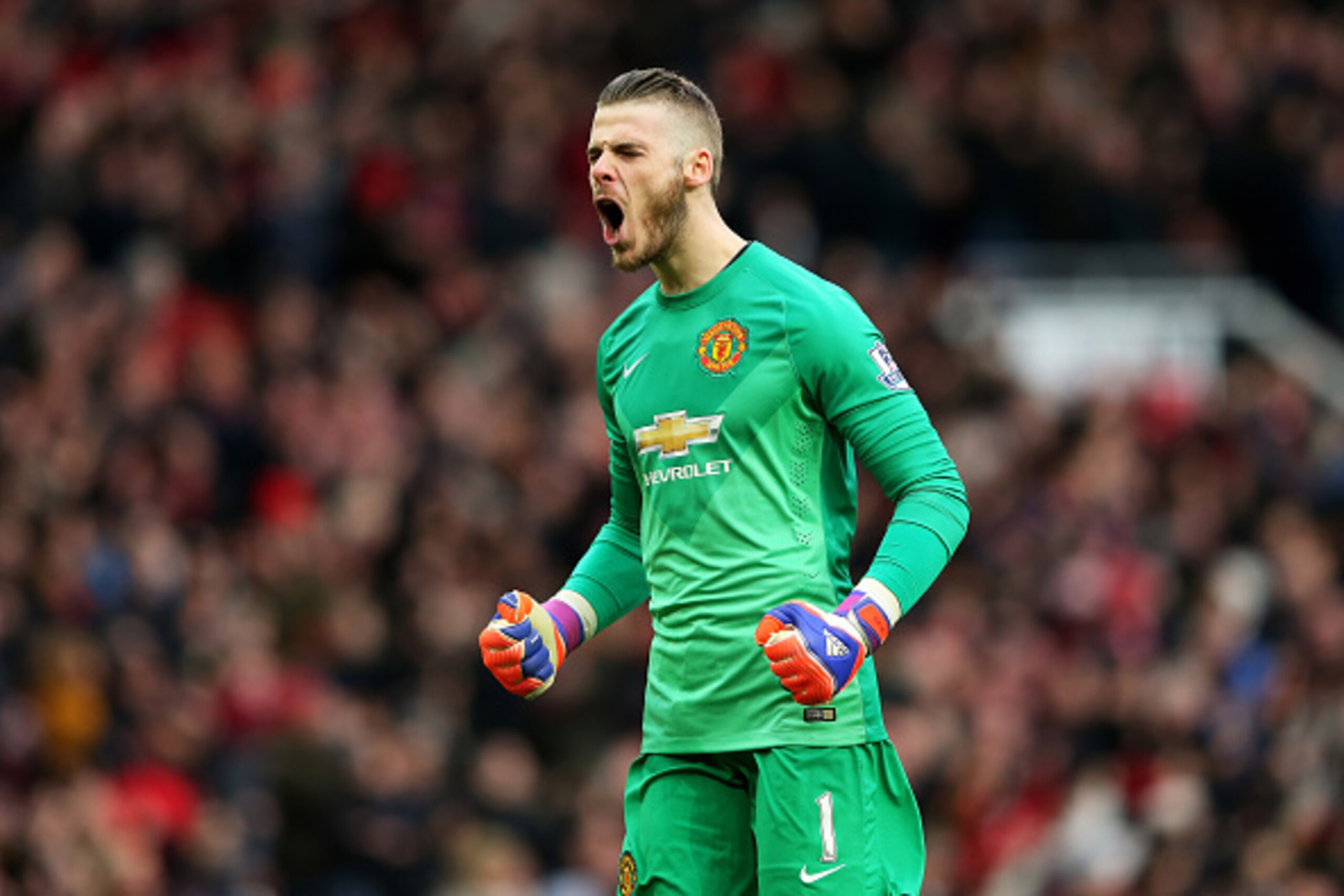 MANCHESTER, ENGLAND - MARCH 15: Goalkeeper David De Gea of Manchester United celebrates after teammate Marouane Fellaini scores the opening goal during the Barclays Premier League match between Manchester United and Tottenham Hotspur at Old Trafford on M MANCHESTER, ENGLAND - MARCH 15: Goalkeeper David De Gea of Manchester United celebrates after teammate Marouane Fellaini scores the opening goal during the Barclays Premier League match between Manchester United and Tottenham Hotspur at Old Trafford on M