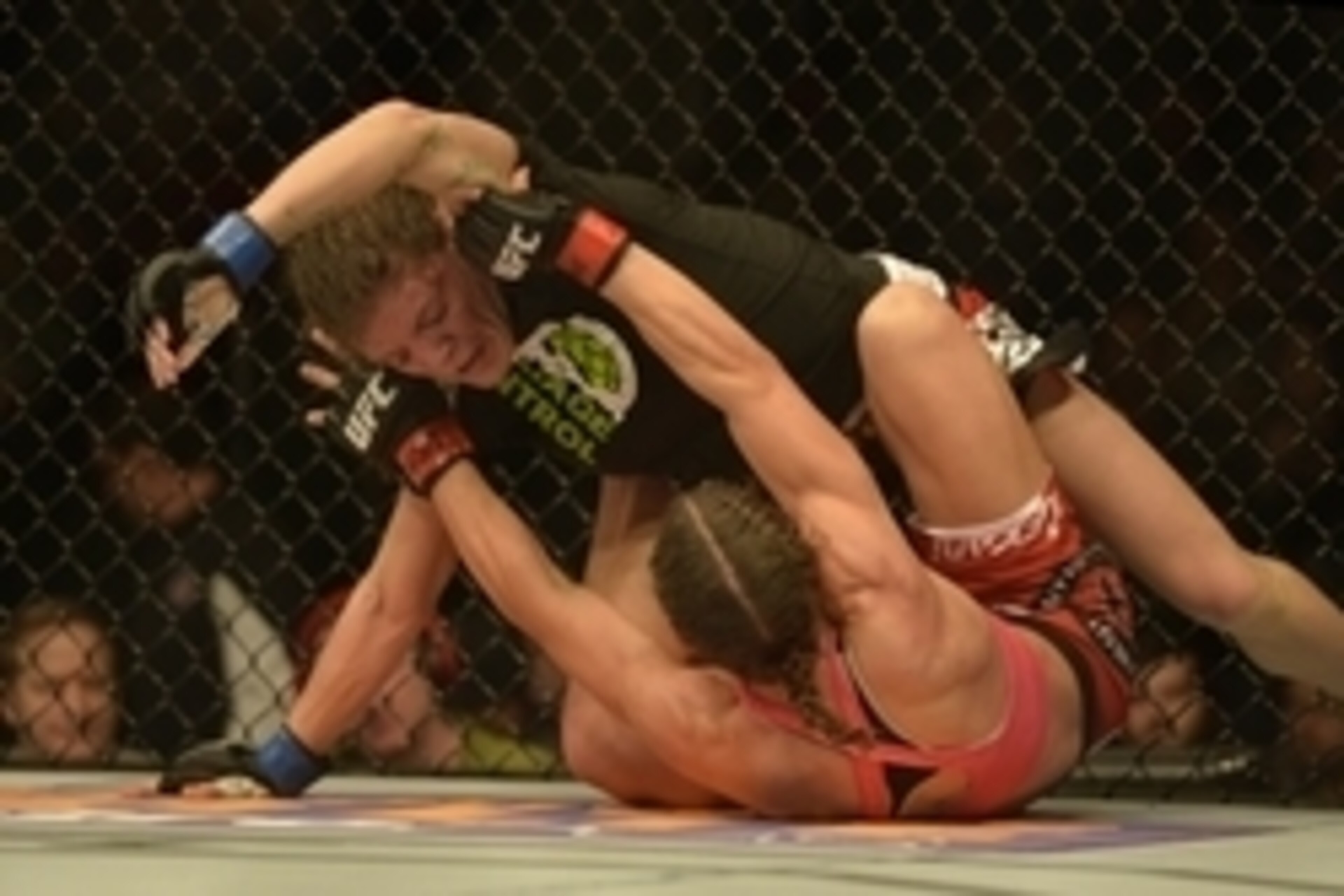 Apr 4, 2015; Fairfax, VA, USA; Lauren Murphy (blue gloves) fights  Liz Carmouche (red gloves) during UFC Fight Night at Patriot Center. Mandatory Credit: Tommy Gilligan-USA TODAY Sports