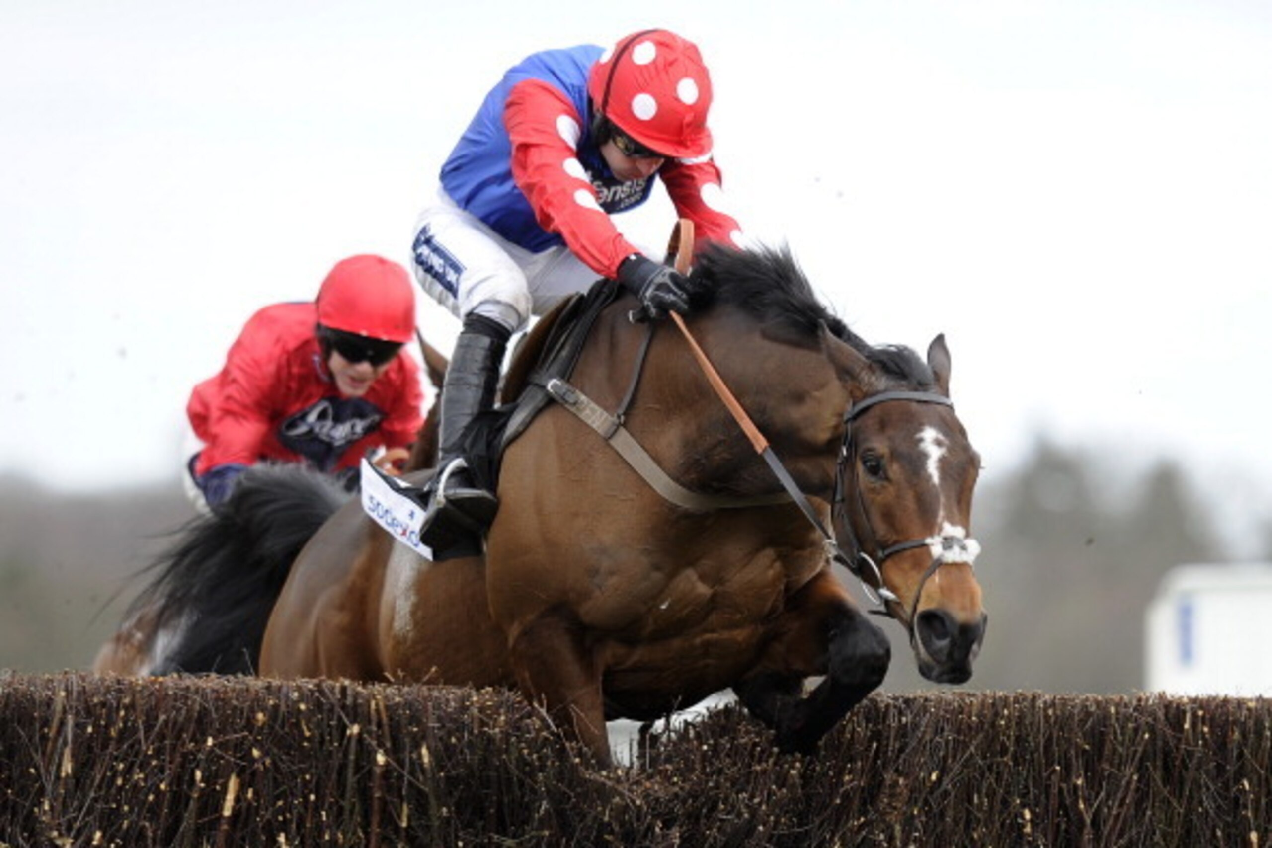 ASCOT, ENGLAND - FEBRUARY 16: Ruby Walsh riding Rocky Creek clear the last to win The Sodexo Prestige Reynoldstown Novices' Steeple Chase at Ascot racecourse on February 16, 2013 in Ascot, England. (Photo by Alan Crowhurst/Getty Images)
