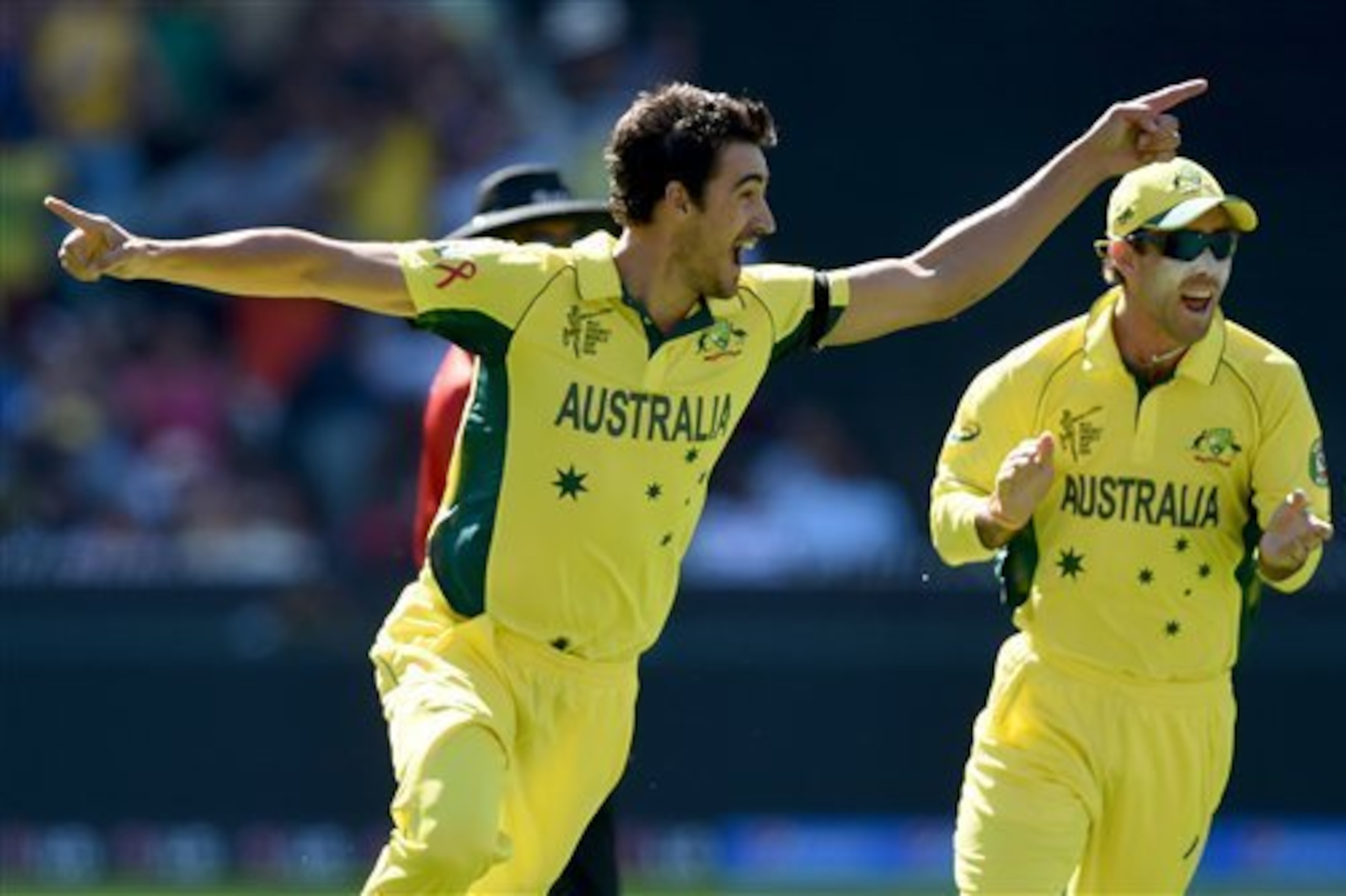 Starc should give Bangalore an edge to their play.