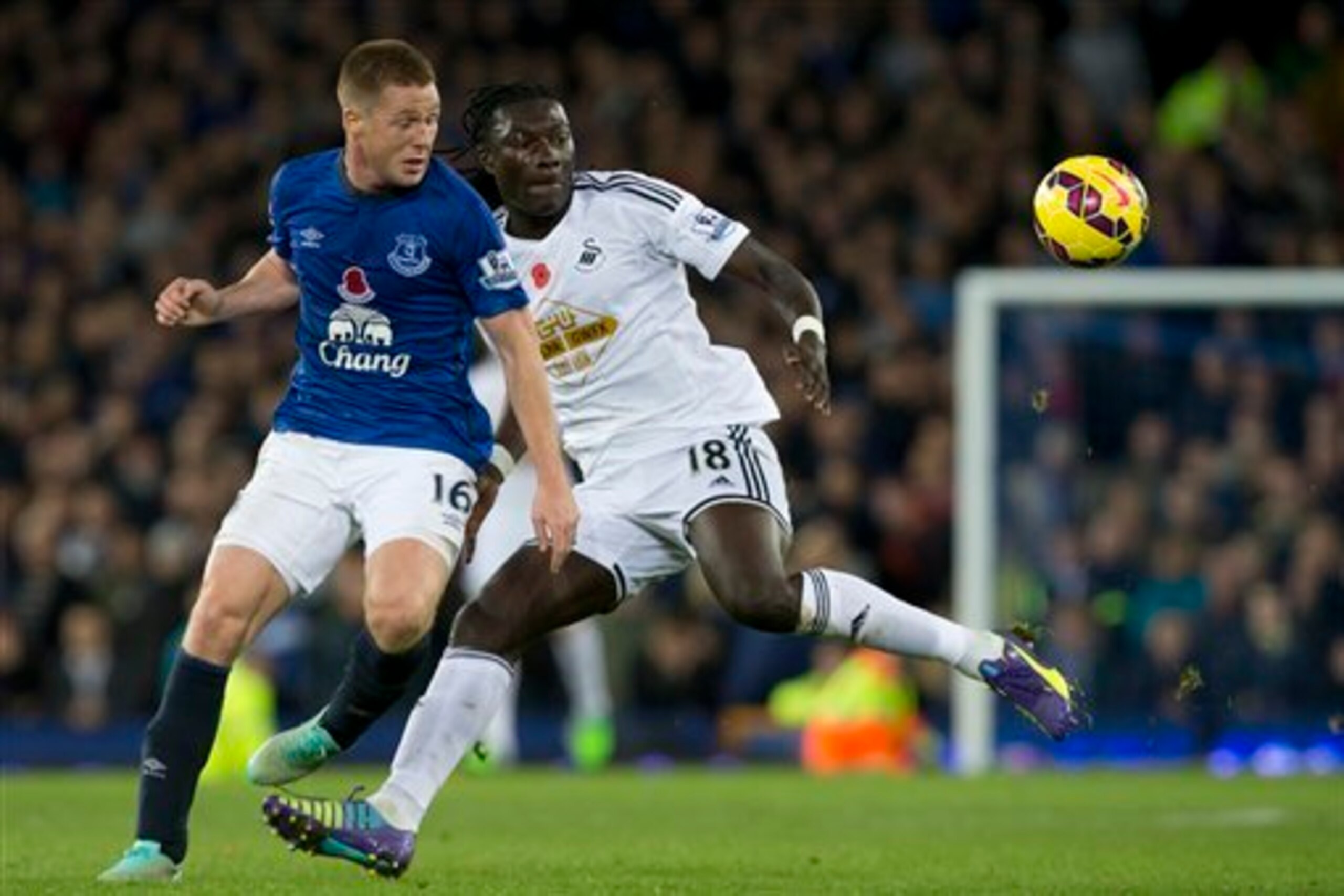 Everton's James McCarthy is a tidy, reliable midfield presence.