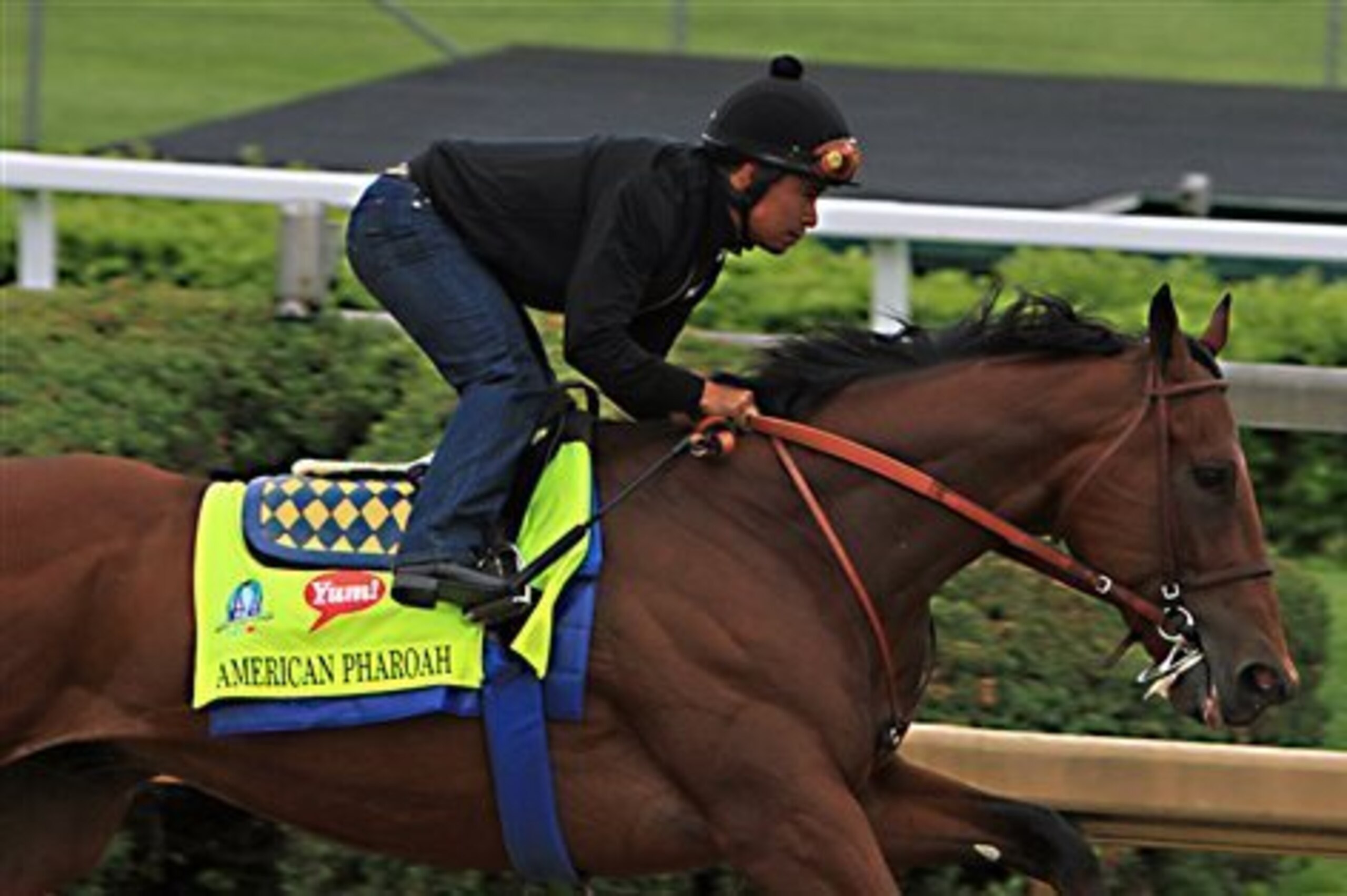 American Pharoah has been in inspired form coming into this meet.