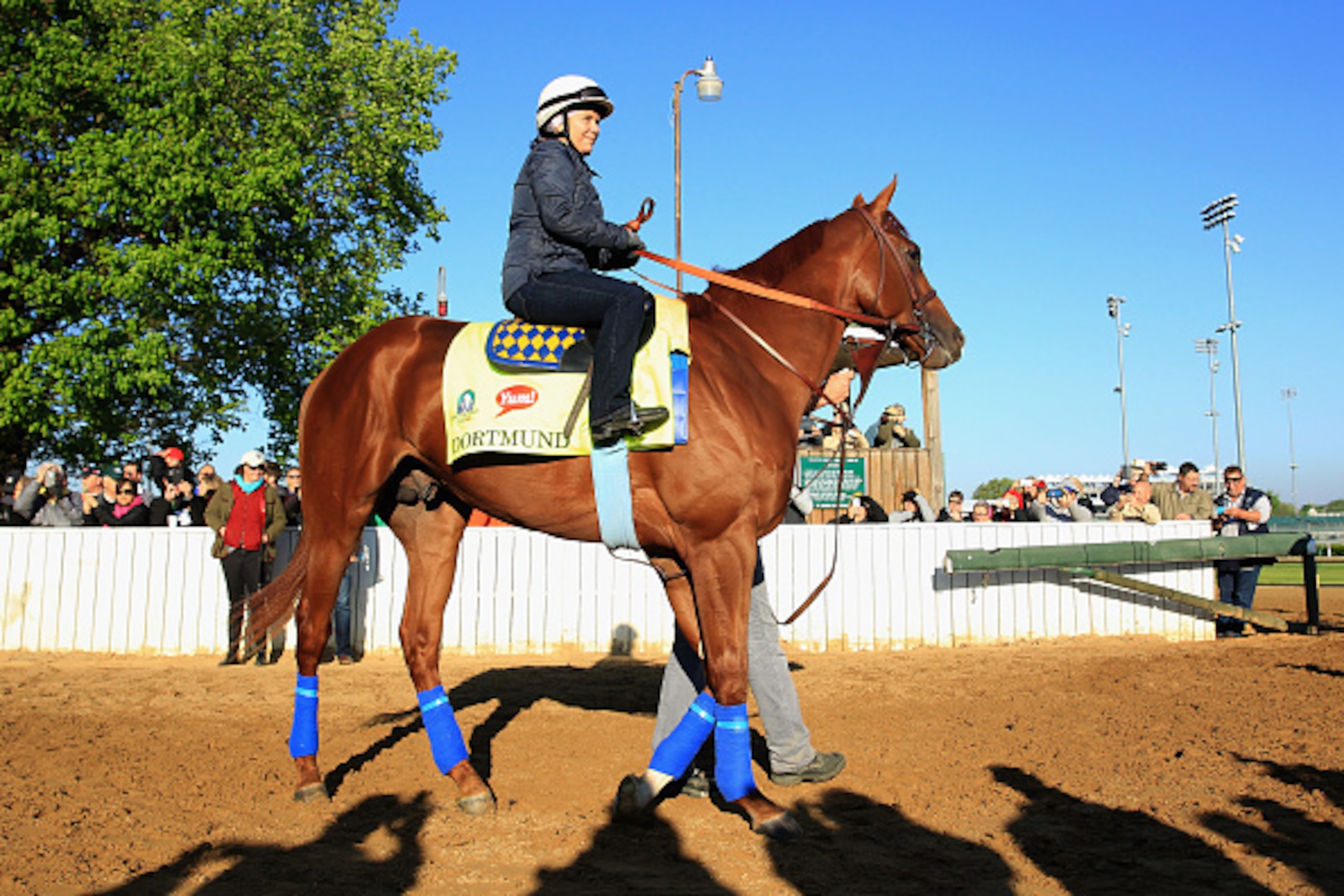LOUISVILLE, KY - APRIL 28:  Dortmund walks to the track during the morning training for the Kentucky Derby at Churchill Downs on April 28, 2015 in Louisville, Kentucky.  (Photo by Andy Lyons/Getty Images)