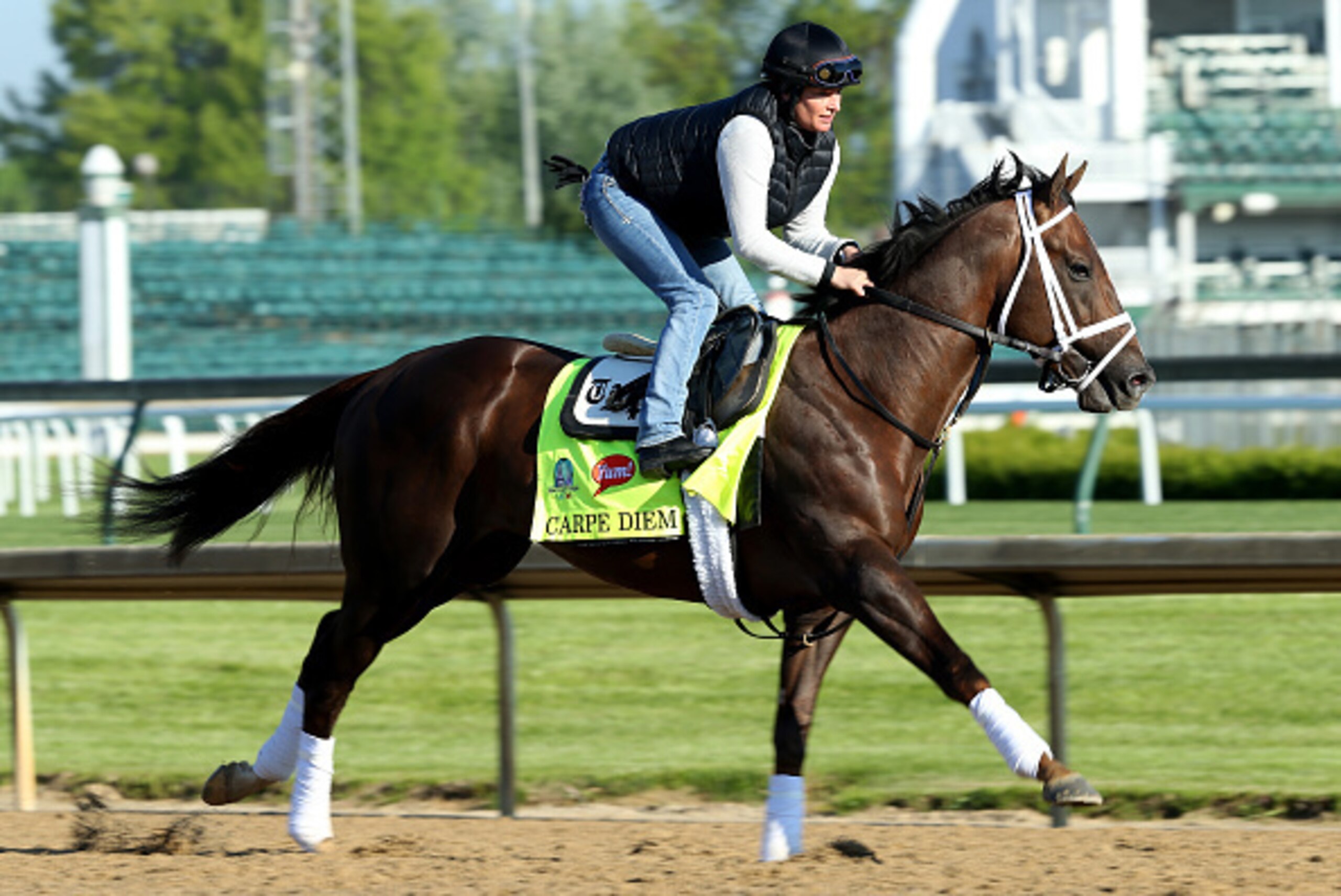 LOUISVILLE, KY - APRIL 28: Carpe Diem runs on the track during the morning training for the Kentucky Derby at Churchill Downs on April 28, 2015 in Louisville, Kentucky.  (Photo by Andy Lyons/Getty Images)