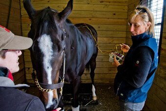 Fortune Pearl, a four-year-old filly, gets an acupuncture and electro-stimulation therapy treatment from Dr. Sandra Perkowski at Fair Hill.