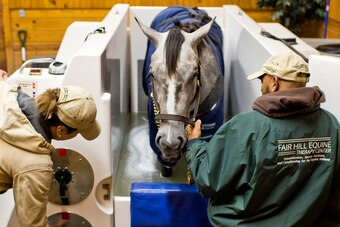 The cold saltwater spa at Fair Hill helps prevent injury and increase circulation for horses.