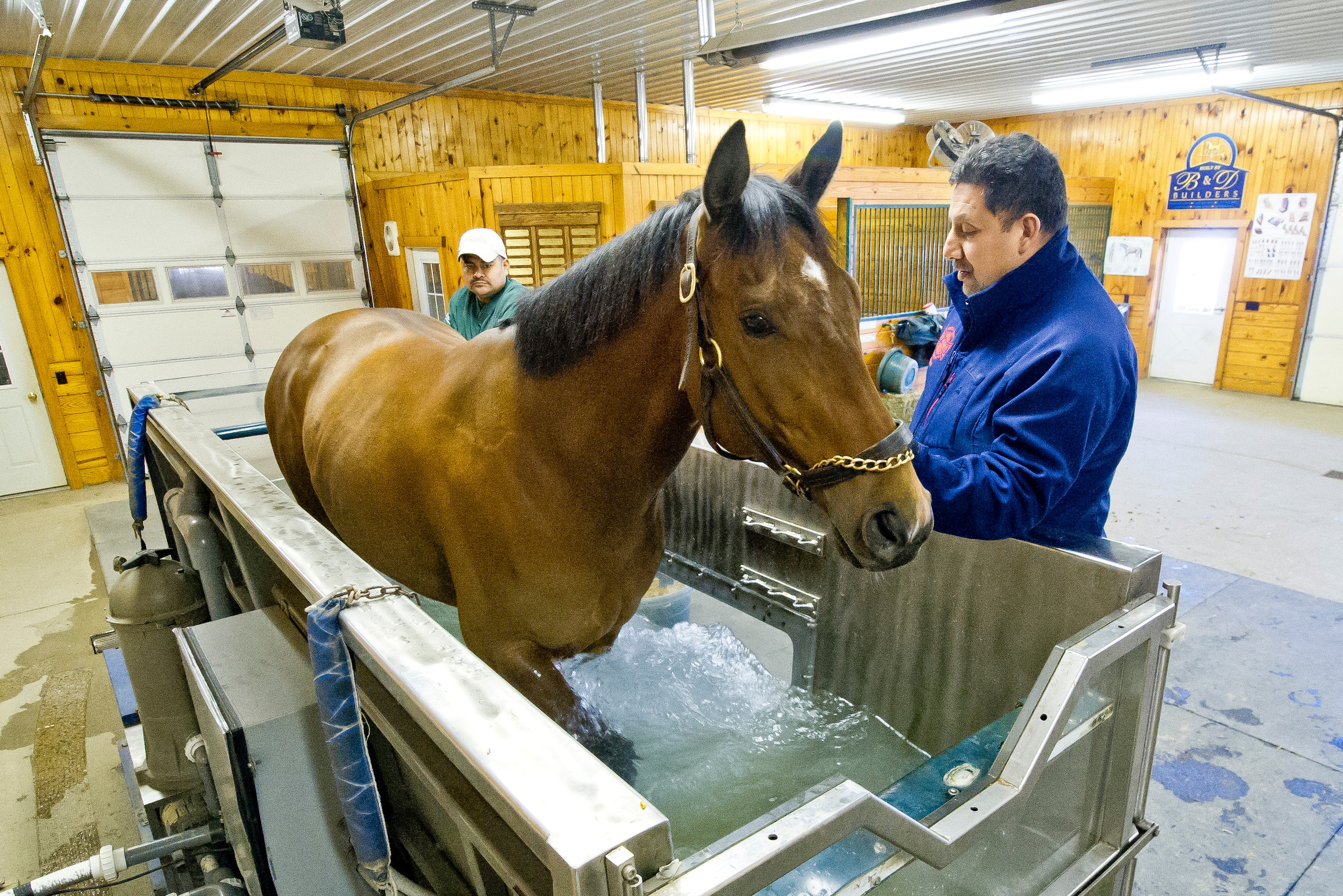 Bank Float, a five-year-old horse, exercises in the Aqua Pacer at Fair Hill, which provides equine athletes with a high-resistance, low-impact workout. Bank Float, a five-year-old horse, exercises in the Aqua Pacer at Fair Hill, which provides equine athletes with a high-resistance, low-impact workout.