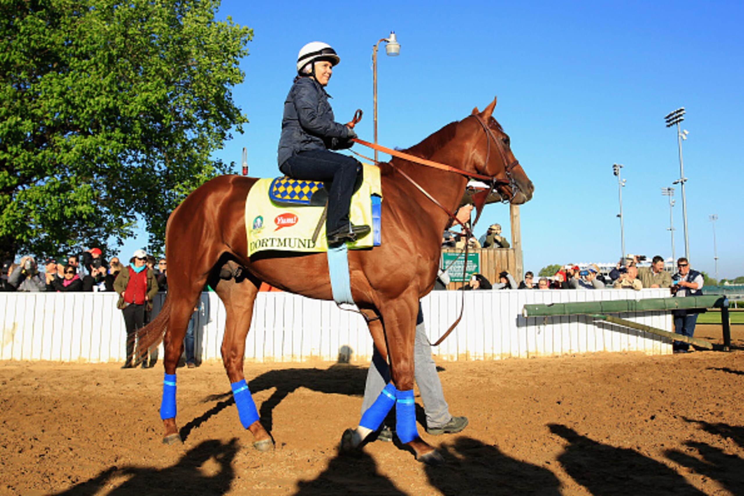 LOUISVILLE, KY - APRIL 28:  Dortmund walks to the track during the morning training for the Kentucky Derby at Churchill Downs on April 28, 2015 in Louisville, Kentucky.  (Photo by Andy Lyons/Getty Images)