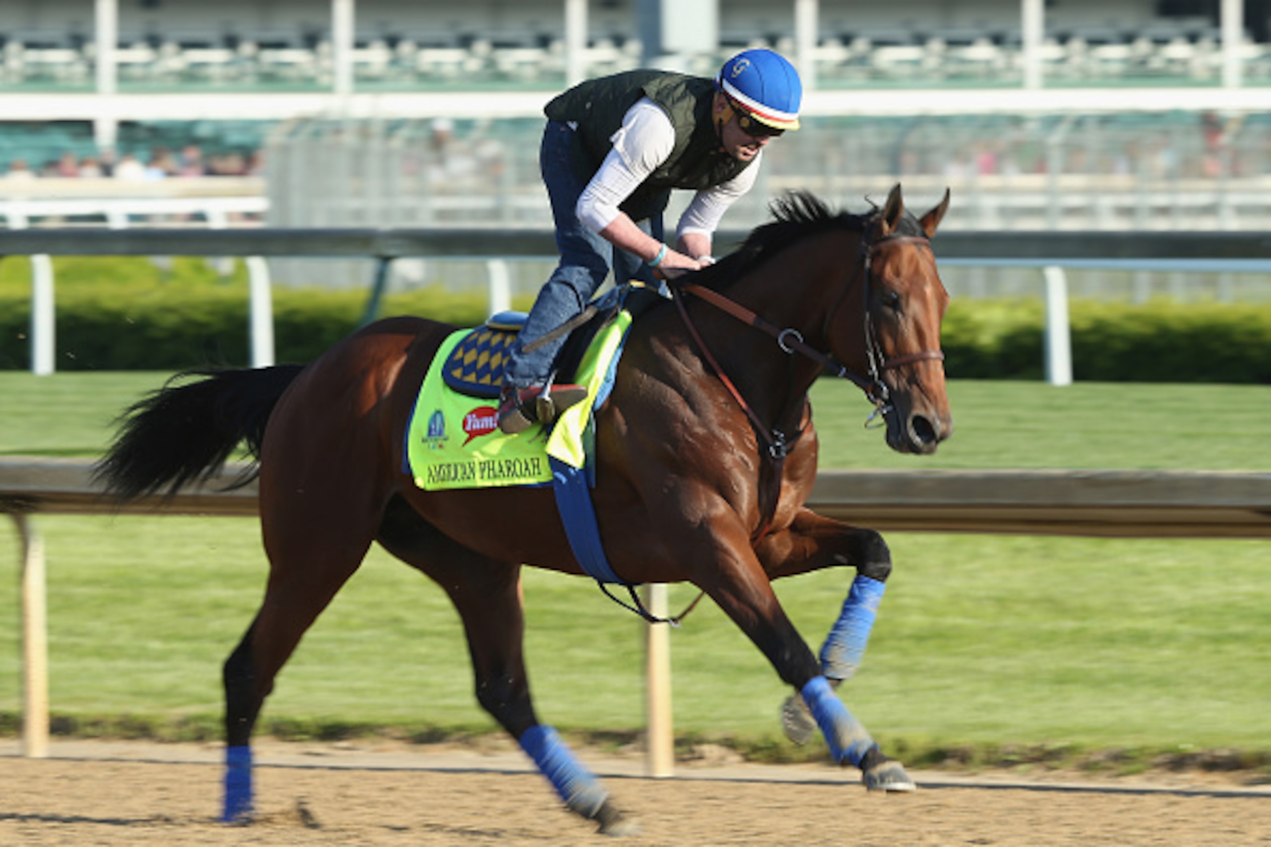 LOUISVILLE, KY - APRIL 29:  American Pharoah runs on the track during the morning training for the kentucky Derby at Churchill Downs on April 29, 2015 in Louisville, Kentucky.  (Photo by Andy Lyons/Getty Images)