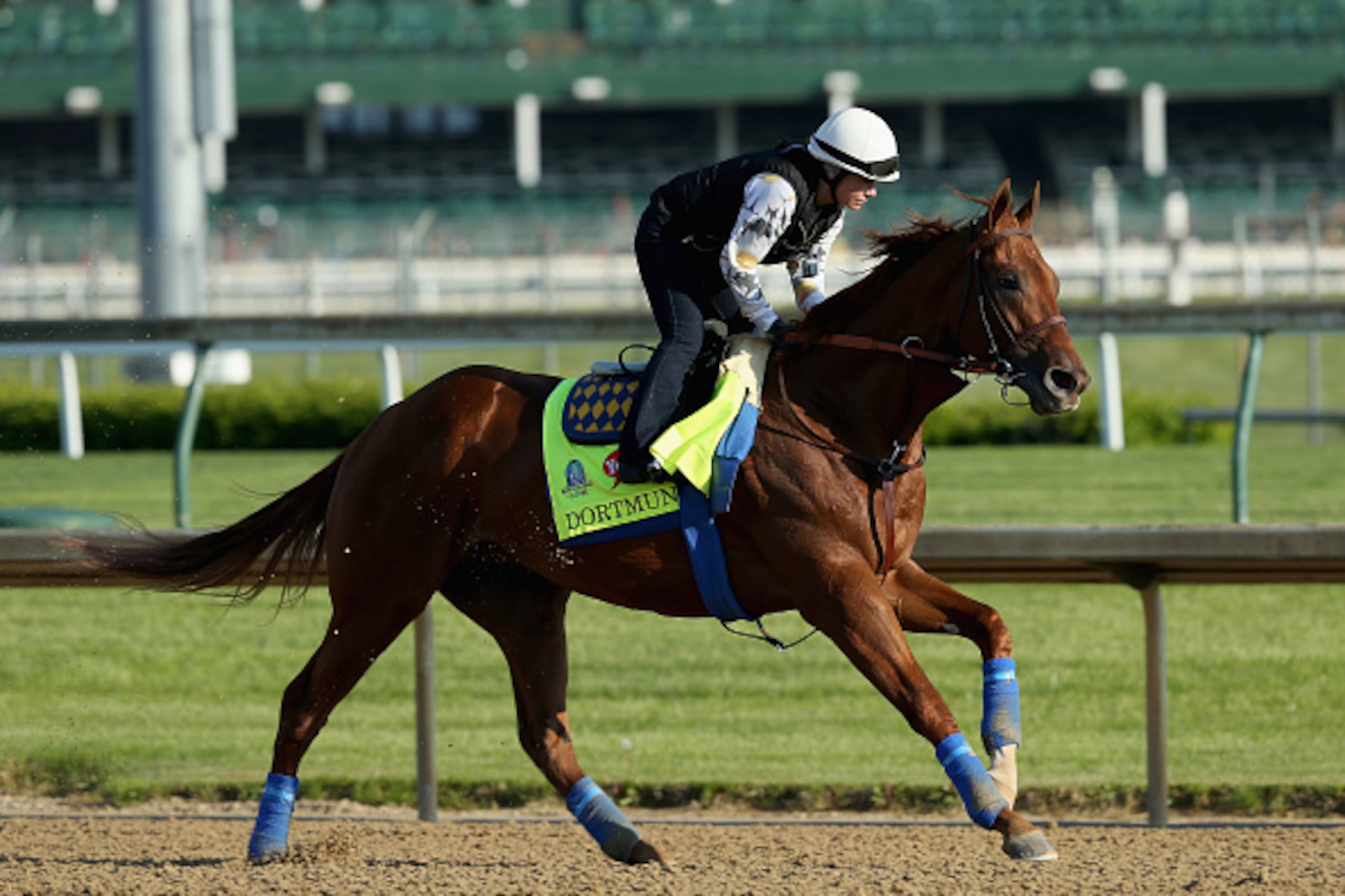 LOUISVILLE, KY - APRIL 29:  Dortmund runs on the track during the morning training for the kentucky Derby at Churchill Downs on April 29, 2015 in Louisville, Kentucky.  (Photo by Andy Lyons/Getty Images)