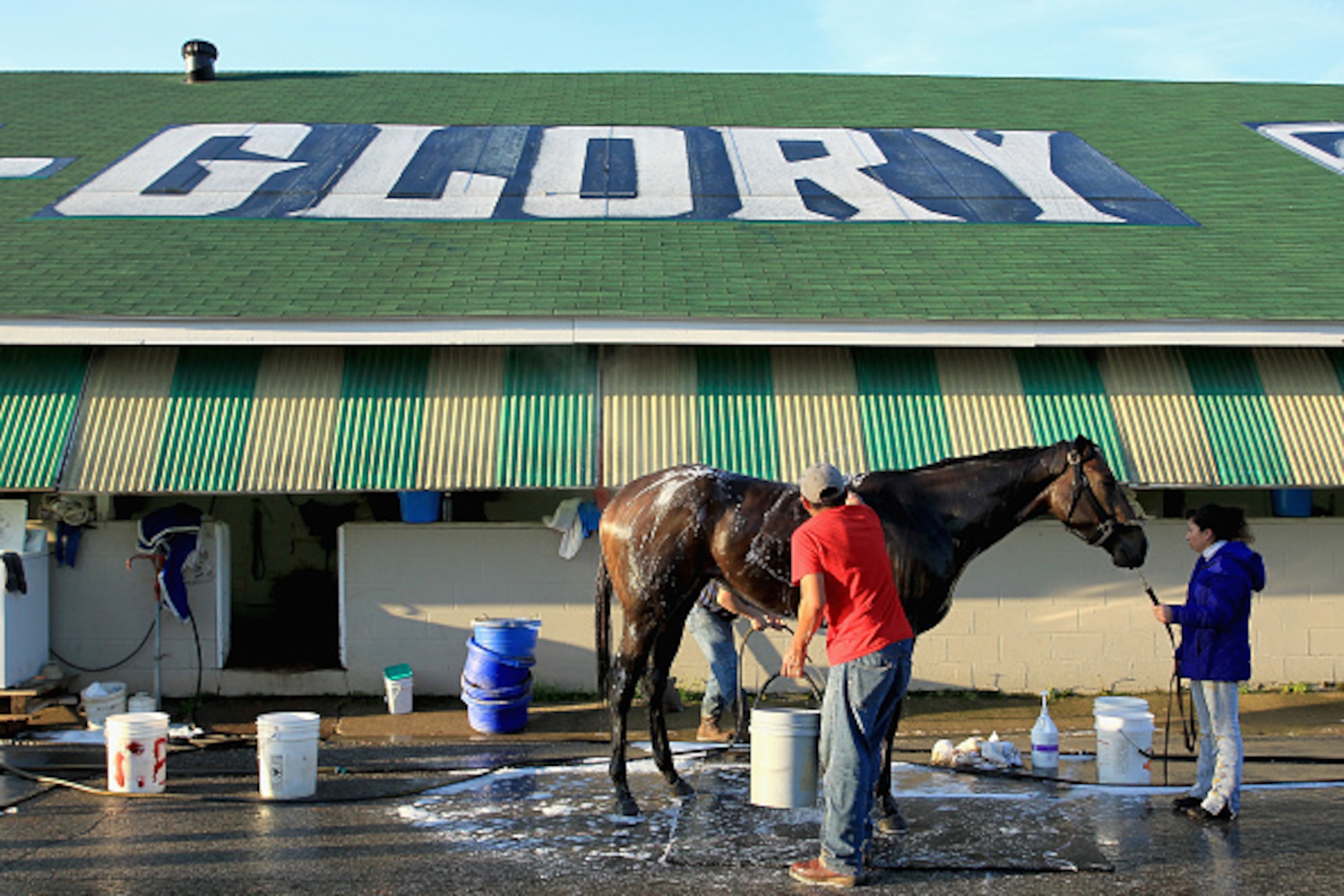 LOUISVILLE, KY - APRIL 29:  A horse is washed in the barn area during the morning training for the kentucky Derby at Churchill Downs on April 29, 2015 in Louisville, Kentucky.  (Photo by Andy Lyons/Getty Images)