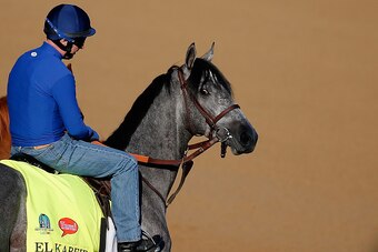 LOUISVILLE, KY - APRIL 29: EL Kabeir walks onto the track during morning training for the Kentucky Derby at Churchill Downs on April 29, 2015 in Louisville, Kentucky.  (Photo by Rob Carr/Getty Images)
