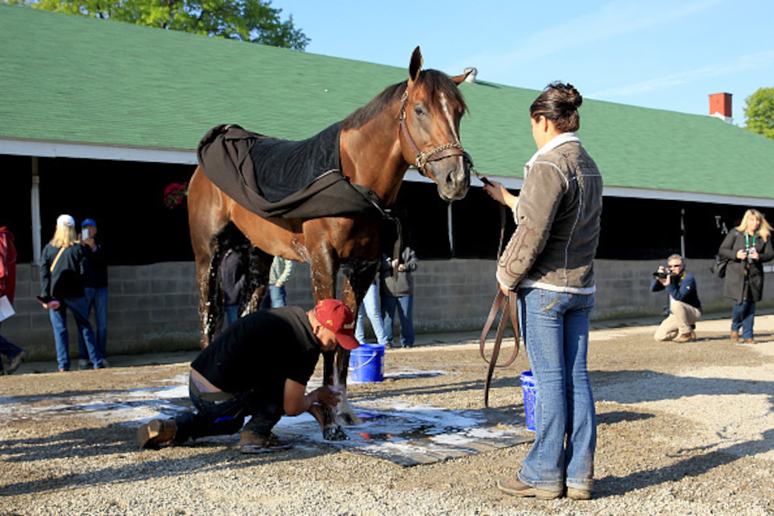 LOUISVILLE, KY - APRIL 29: Carpe Diem is washed in the barn area during the morning training for the kentucky Derby at Churchill Downs on April 29, 2015 in Louisville, Kentucky.  (Photo by Andy Lyons/Getty Images)
