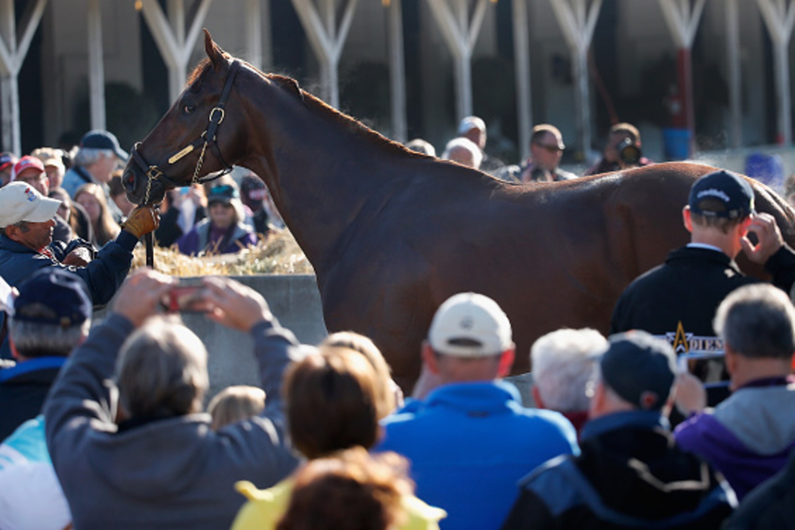 LOUISVILLE, KY - APRIL 29:  Dortmund gets a bath following morning training for the Kentucky Derby at Churchill Downs on April 29, 2015 in Louisville, Kentucky.  (Photo by Rob Carr/Getty Images)