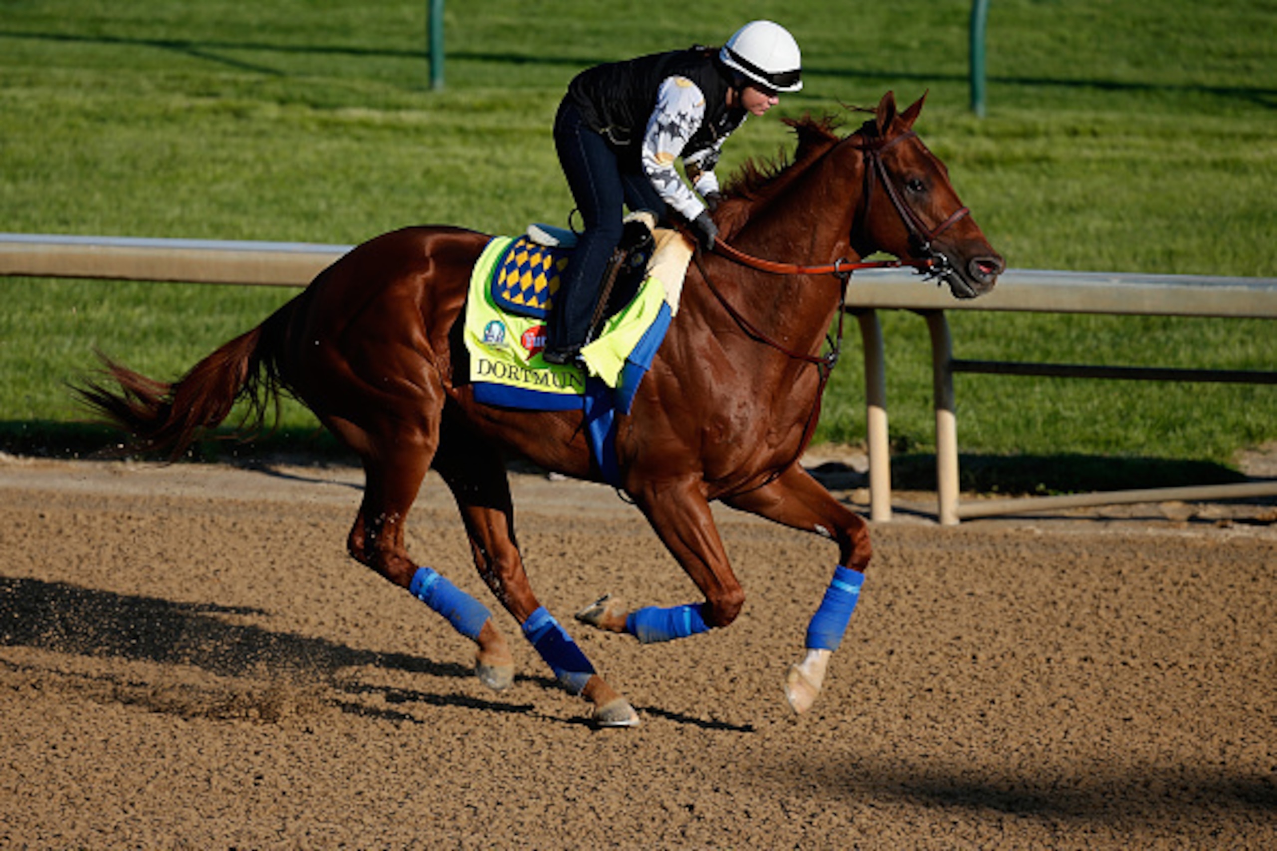 LOUISVILLE, KY - APRIL 29:  Dortmund goes over the track during morning training for the Kentucky Derby at Churchill Downs on April 29, 2015 in Louisville, Kentucky.  (Photo by Rob Carr/Getty Images)