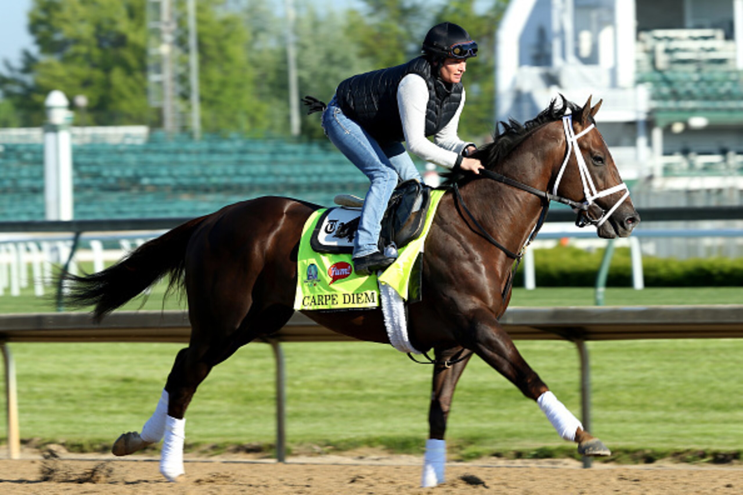 LOUISVILLE, KY - APRIL 28: Carpe Diem runs on the track during the morning training for the Kentucky Derby at Churchill Downs on April 28, 2015 in Louisville, Kentucky. (Photo by Andy Lyons/Getty Images) LOUISVILLE, KY - APRIL 28: Carpe Diem runs on the track during the morning training for the Kentucky Derby at Churchill Downs on April 28, 2015 in Louisville, Kentucky. (Photo by Andy Lyons/Getty Images)