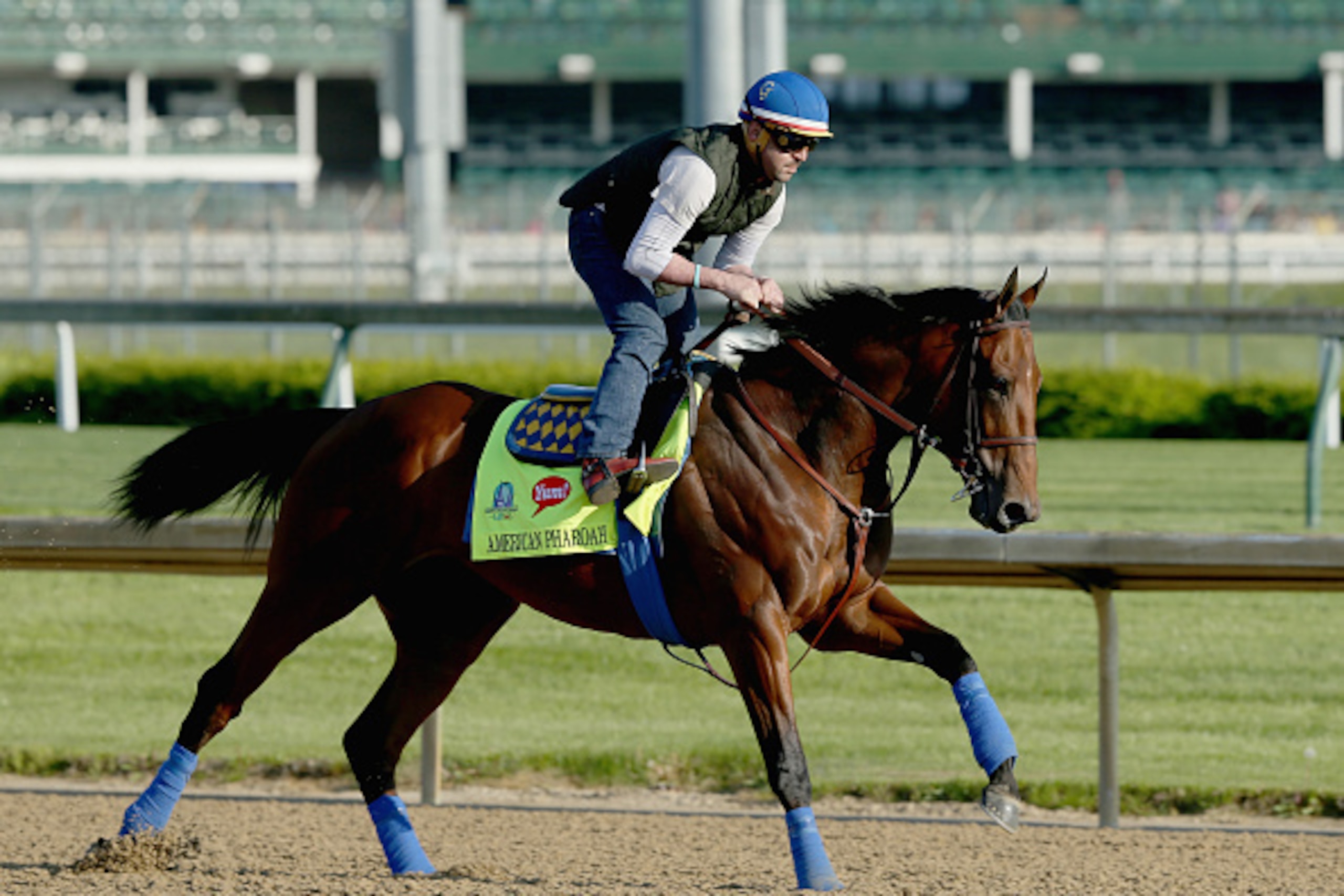 LOUISVILLE, KY - APRIL 29:  American Pharoah runs on the track during the morning training for the kentucky Derby at Churchill Downs on April 29, 2015 in Louisville, Kentucky.  (Photo by Andy Lyons/Getty Images)