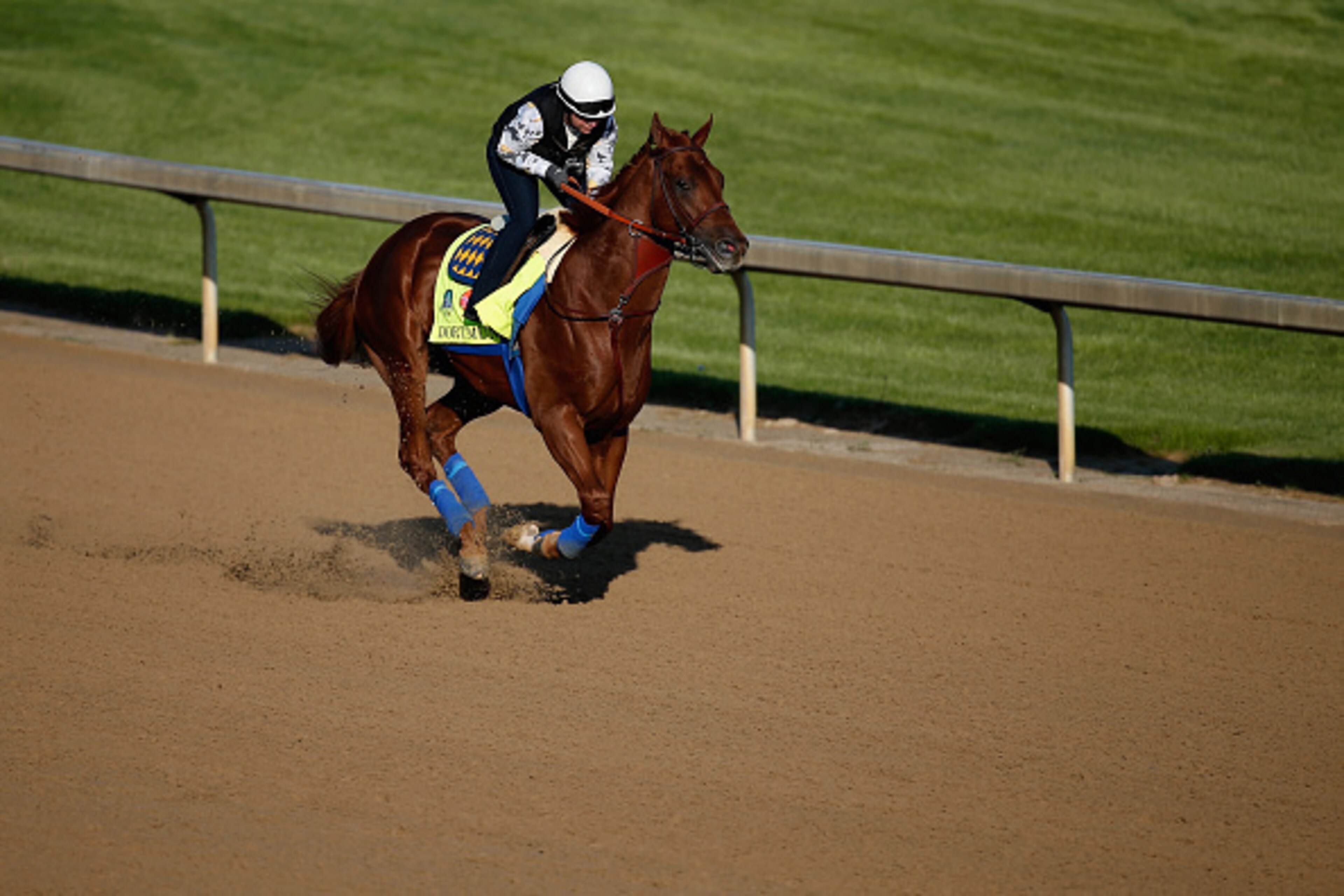 LOUISVILLE, KY - APRIL 29:  Dortmund goes over the track during morning training for the Kentucky Derby at Churchill Downs on April 29, 2015 in Louisville, Kentucky.  (Photo by Rob Carr/Getty Images)