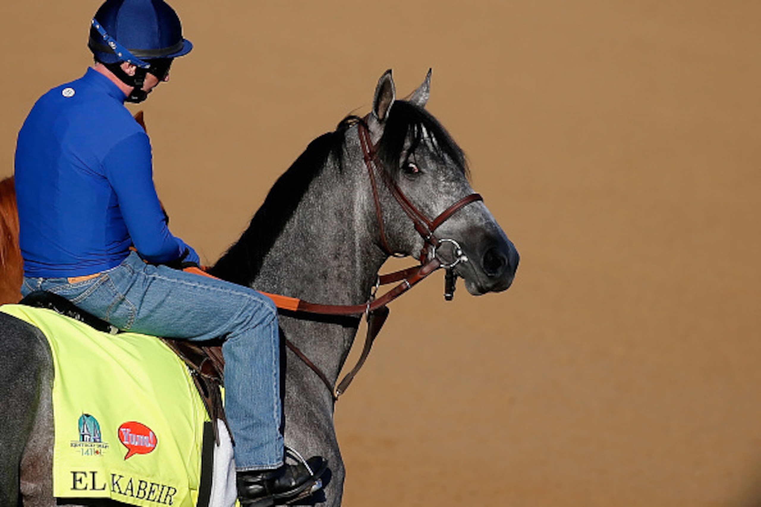 LOUISVILLE, KY - APRIL 29: EL Kabeir walks onto the track during morning training for the Kentucky Derby at Churchill Downs on April 29, 2015 in Louisville, Kentucky.  (Photo by Rob Carr/Getty Images)