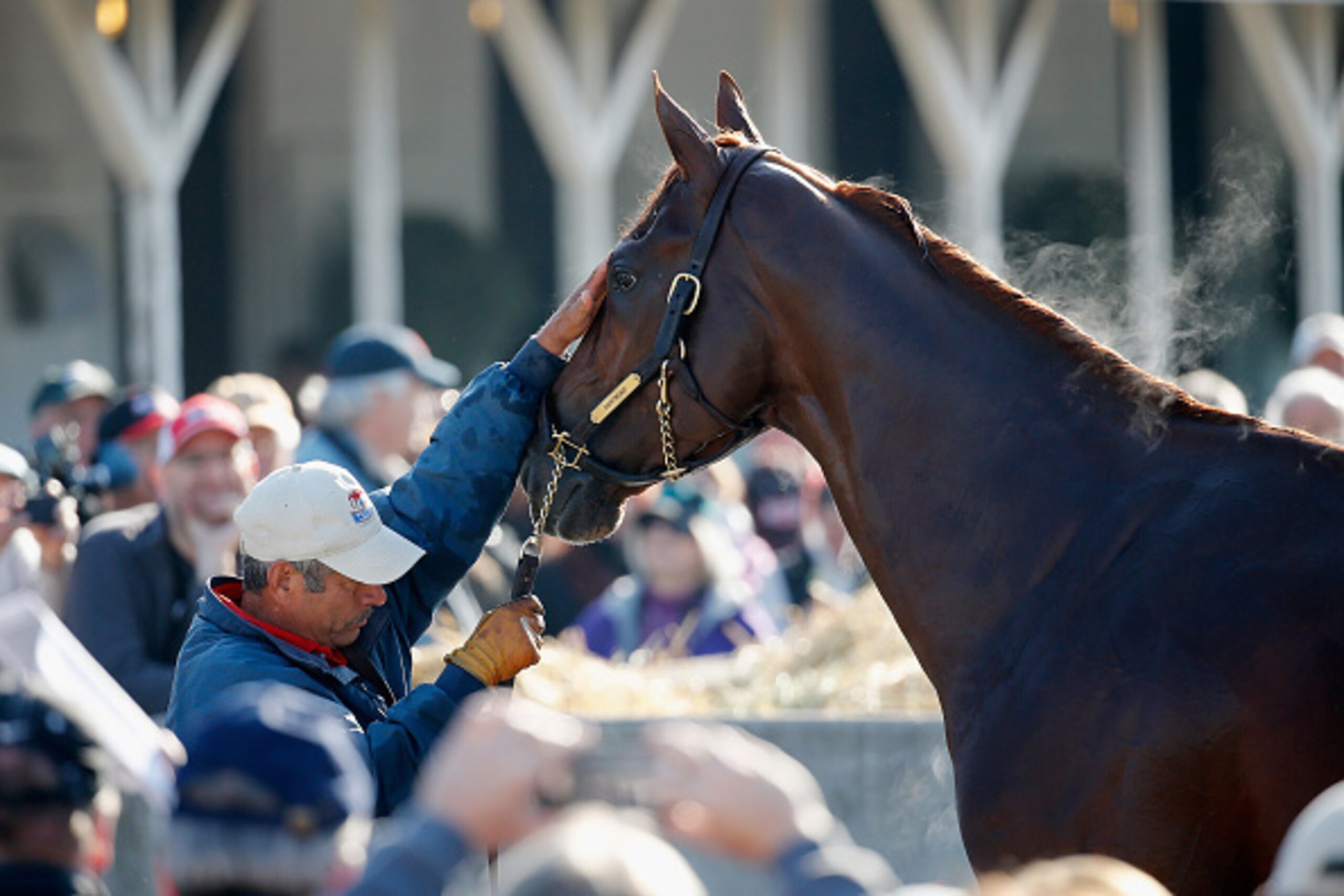 LOUISVILLE, KY - APRIL 29:  Dortmund gets a bath following morning training for the Kentucky Derby at Churchill Downs on April 29, 2015 in Louisville, Kentucky.  (Photo by Rob Carr/Getty Images)