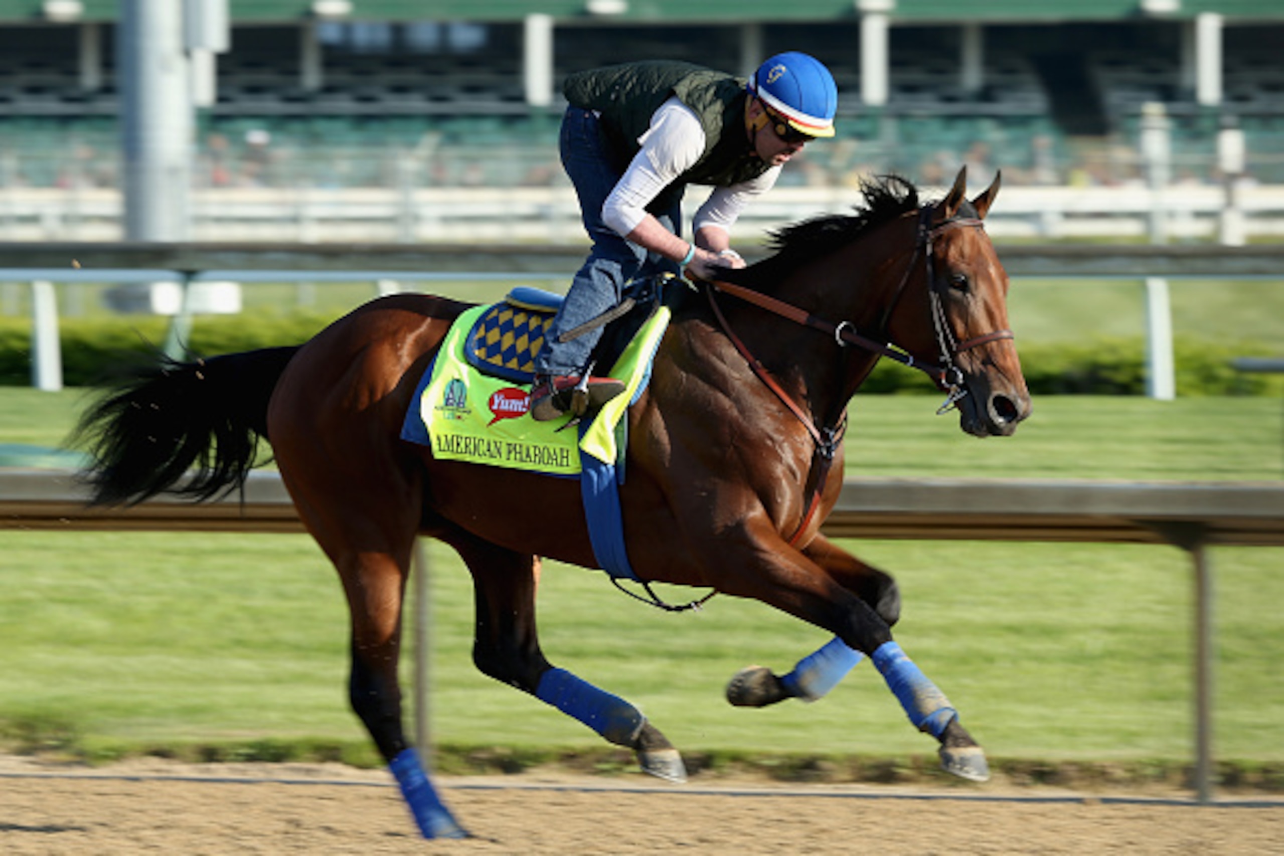 LOUISVILLE, KY - APRIL 29:  American Pharoah runs on the track during the morning training for the kentucky Derby at Churchill Downs on April 29, 2015 in Louisville, Kentucky.  (Photo by Andy Lyons/Getty Images)