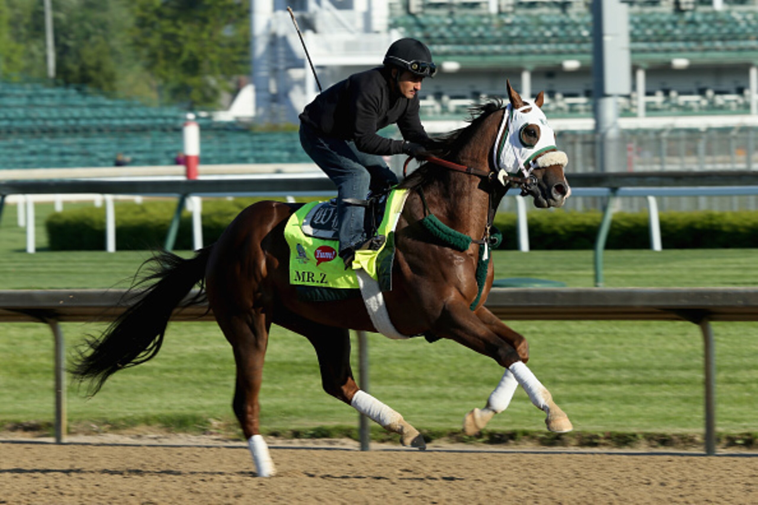 LOUISVILLE, KY - APRIL 28: Mr. Z runs on the track during the morning training for the Kentucky Derby at Churchill Downs on April 28, 2015 in Louisville, Kentucky. (Photo by Andy Lyons/Getty Images) LOUISVILLE, KY - APRIL 28: Mr. Z runs on the track during the morning training for the Kentucky Derby at Churchill Downs on April 28, 2015 in Louisville, Kentucky. (Photo by Andy Lyons/Getty Images)