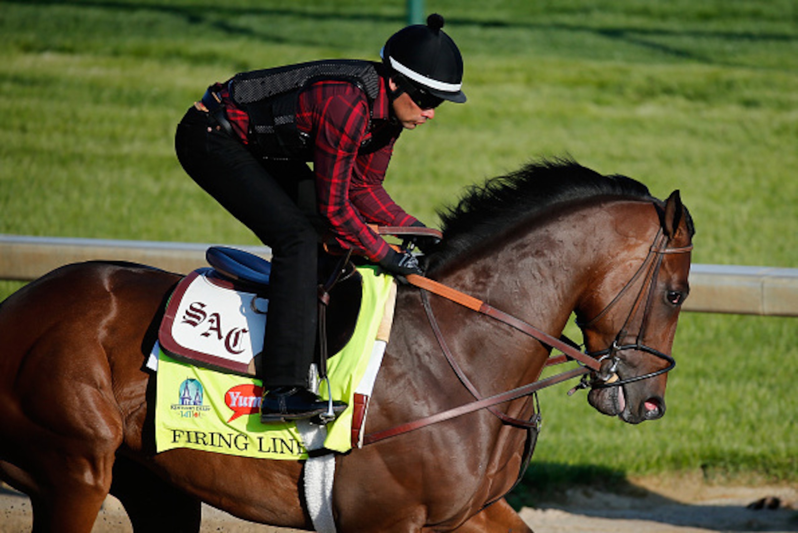 LOUISVILLE, KY - APRIL 29: Firing Line goes over the track during morning training for the Kentucky Derby at Churchill Downs on April 29, 2015 in Louisville, Kentucky. (Photo by Rob Carr/Getty Images) LOUISVILLE, KY - APRIL 29: Firing Line goes over the track during morning training for the Kentucky Derby at Churchill Downs on April 29, 2015 in Louisville, Kentucky. (Photo by Rob Carr/Getty Images)