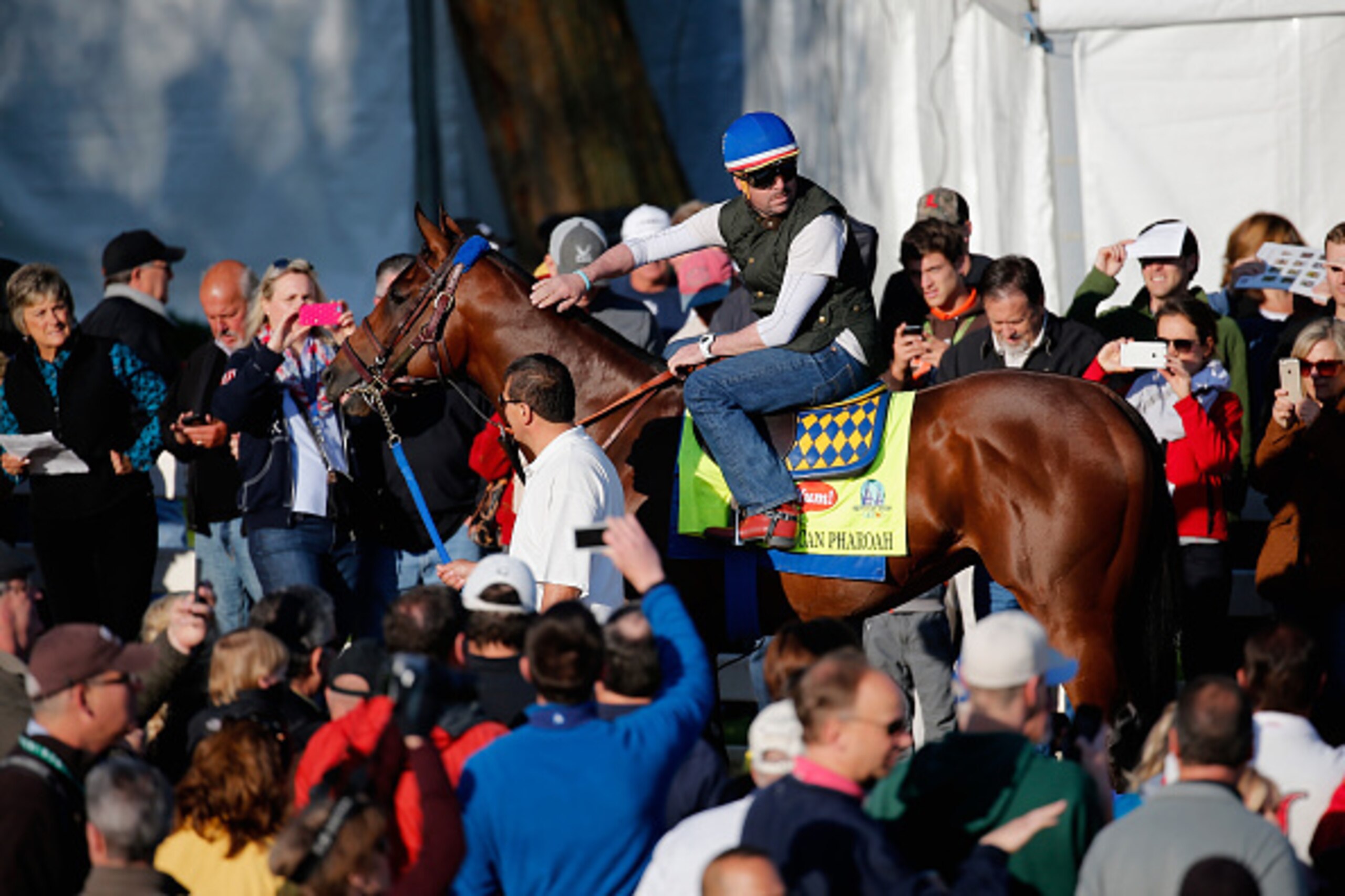 LOUISVILLE, KY - APRIL 29:  American Pharoah is walked to the track during morning training for the Kentucky Derby at Churchill Downs on April 29, 2015 in Louisville, Kentucky.  (Photo by Rob Carr/Getty Images)