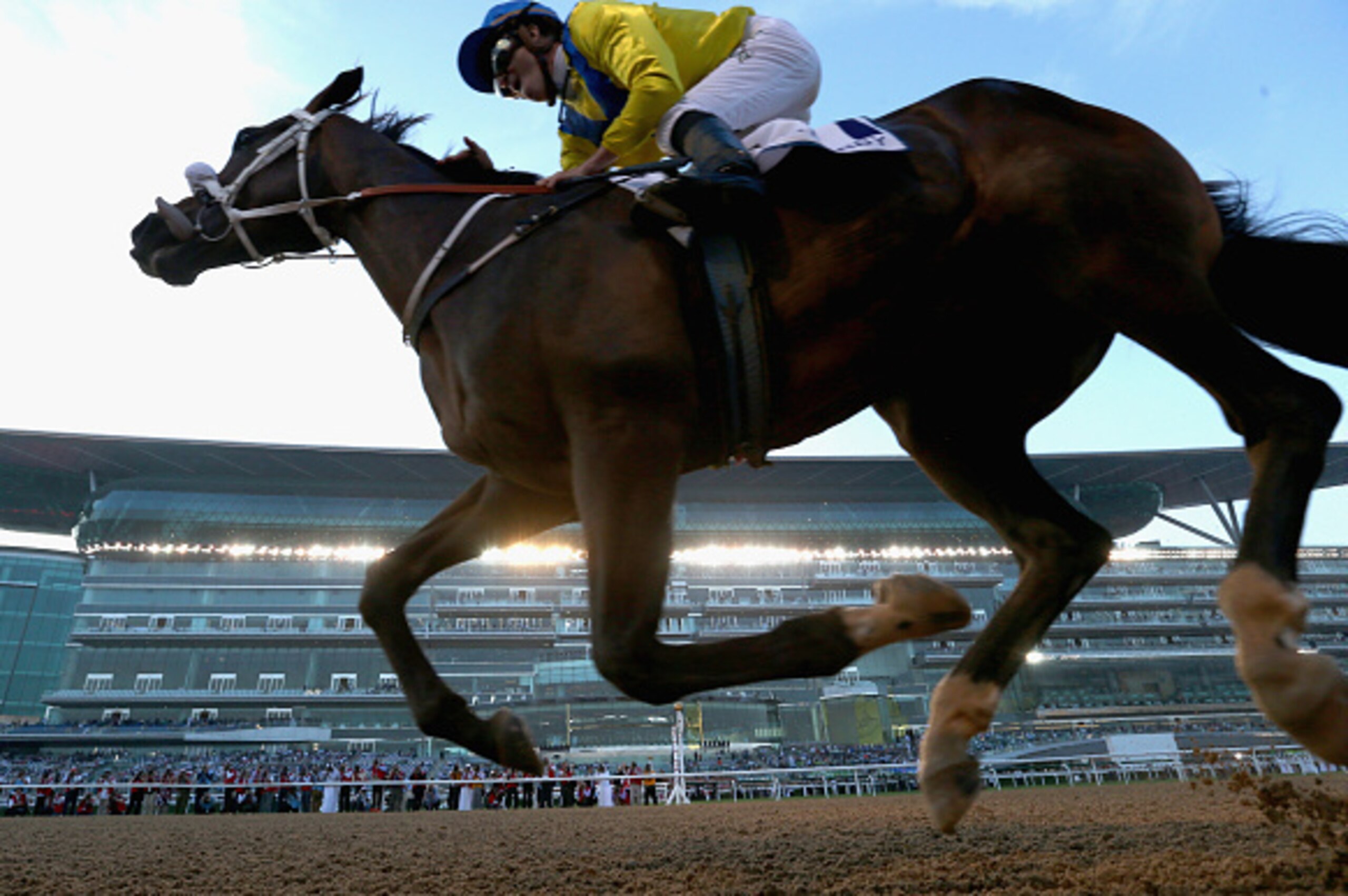 DUBAI, UNITED ARAB EMIRATES - MARCH 28:  Mubtaahij ridden by Christophe Soumillon wins the UAE Derby during the Dubai World Cup at the Meydan Racecourse on March 28, 2015 in Dubai, United Arab Emirates.  (Photo by Warren Little/Getty Images)