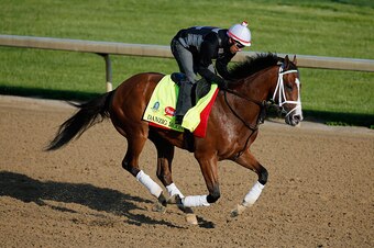 LOUISVILLE, KY - APRIL 29:  Danzig Moon goes over the track during morning training for the Kentucky Derby at Churchill Downs on April 29, 2015 in Louisville, Kentucky.  (Photo by Rob Carr/Getty Images)
