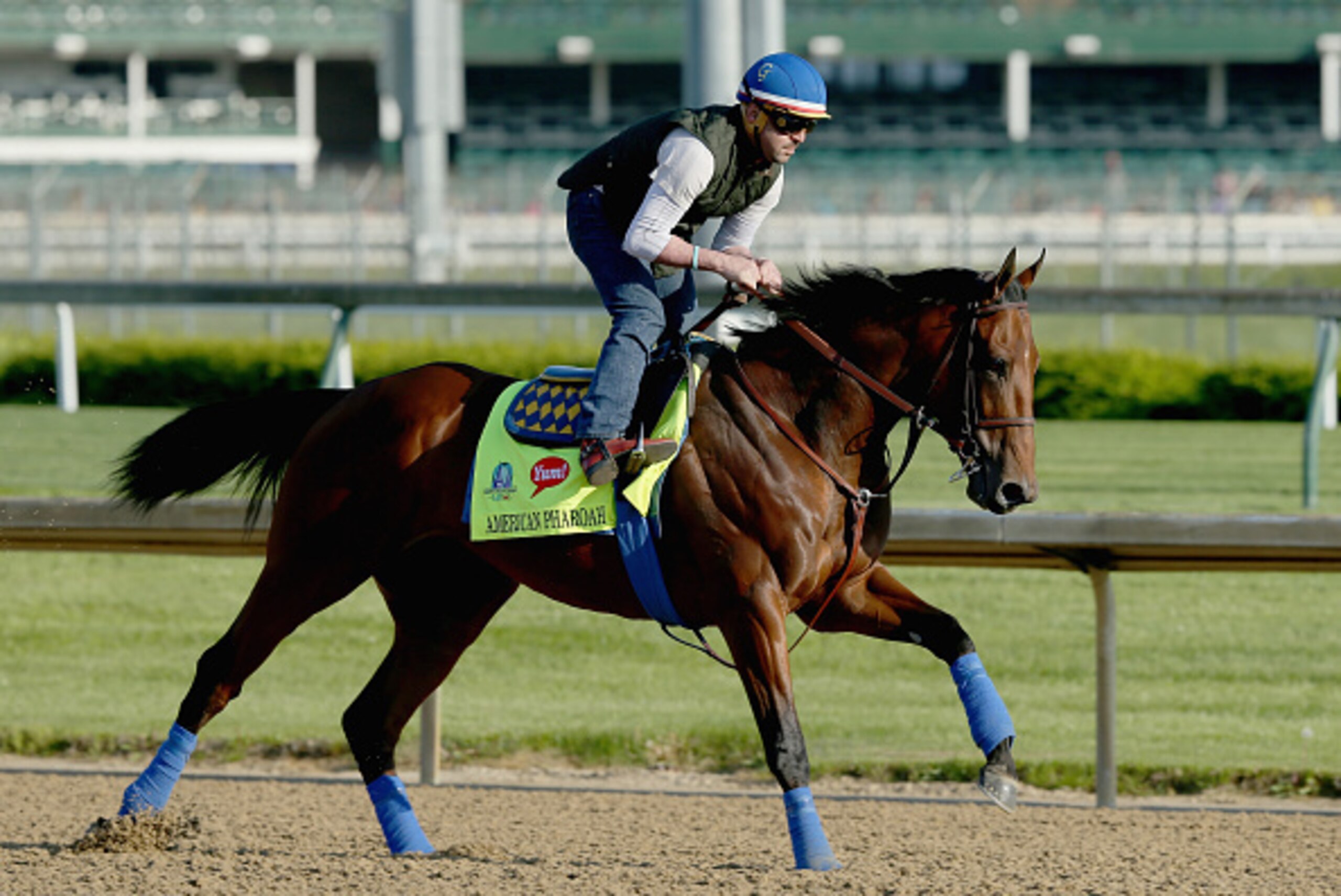 LOUISVILLE, KY - APRIL 29:  American Pharoah runs on the track during the morning training for the kentucky Derby at Churchill Downs on April 29, 2015 in Louisville, Kentucky.  (Photo by Andy Lyons/Getty Images)