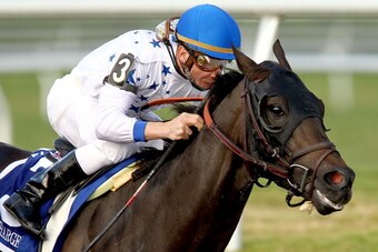 HALLANDALE, FL - MARCH 31:  Take Charge Indy, riden by Calvin Borel, races down the final streatch during the Florida Derby at Gulfstream Park on March 31, 2012 in Hallandale, Florida.  (Photo by Matthew Stockman/Getty Images)