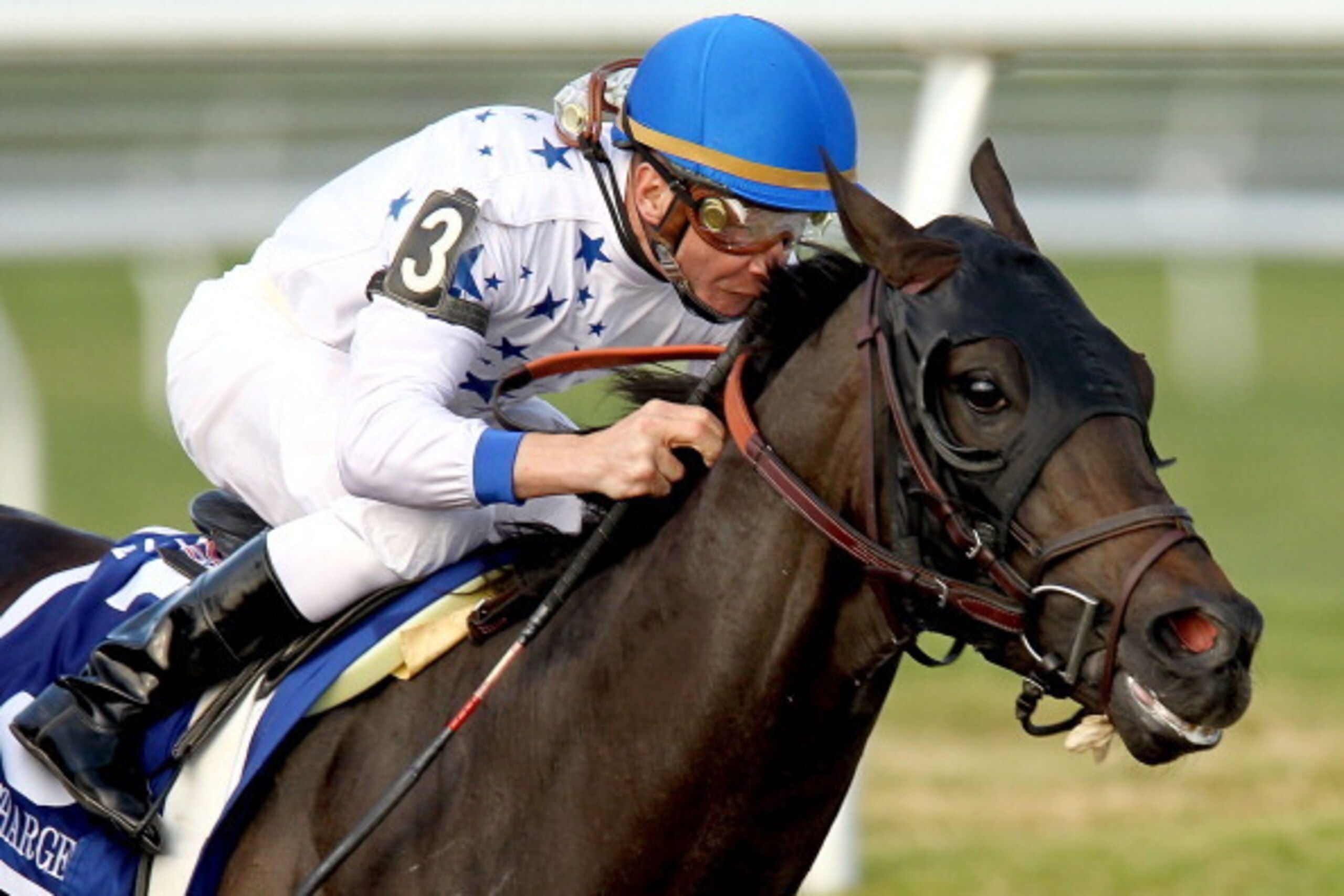 HALLANDALE, FL - MARCH 31: Take Charge Indy, riden by Calvin Borel, races down the final streatch during the Florida Derby at Gulfstream Park on March 31, 2012 in Hallandale, Florida. (Photo by Matthew Stockman/Getty Images) HALLANDALE, FL - MARCH 31: Take Charge Indy, riden by Calvin Borel, races down the final streatch during the Florida Derby at Gulfstream Park on March 31, 2012 in Hallandale, Florida. (Photo by Matthew Stockman/Getty Images)