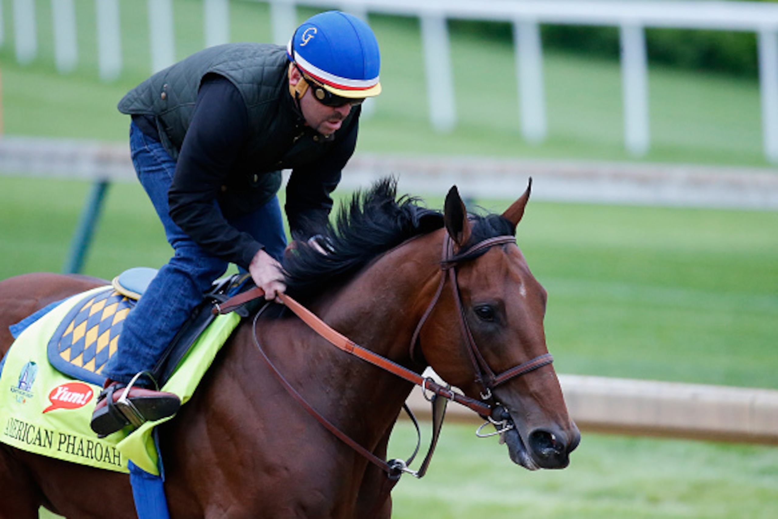 LOUISVILLE, KY - APRIL 30:  American Pharoah goes over the track during morning training for the Kentucky Derby at Churchill Downs on April 30, 2015 in Louisville, Kentucky.  (Photo by Rob Carr/Getty Images)