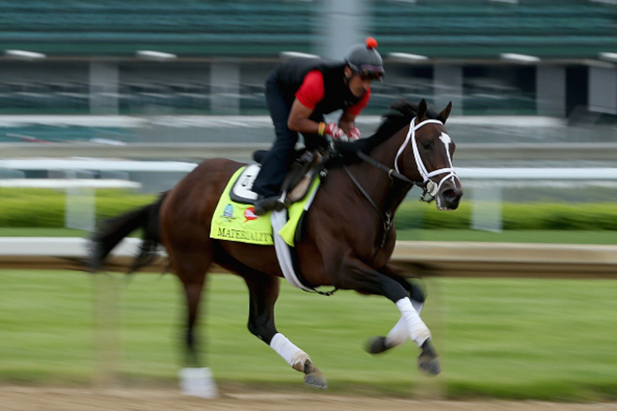 LOUISVILLE, KY - APRIL 30: Materiality runs on the track during the morning training for the Kentucky Derby at Churchill Downs on April 30, 2015 in Louisville, Kentucky.  (Photo by Andy Lyons/Getty Images)