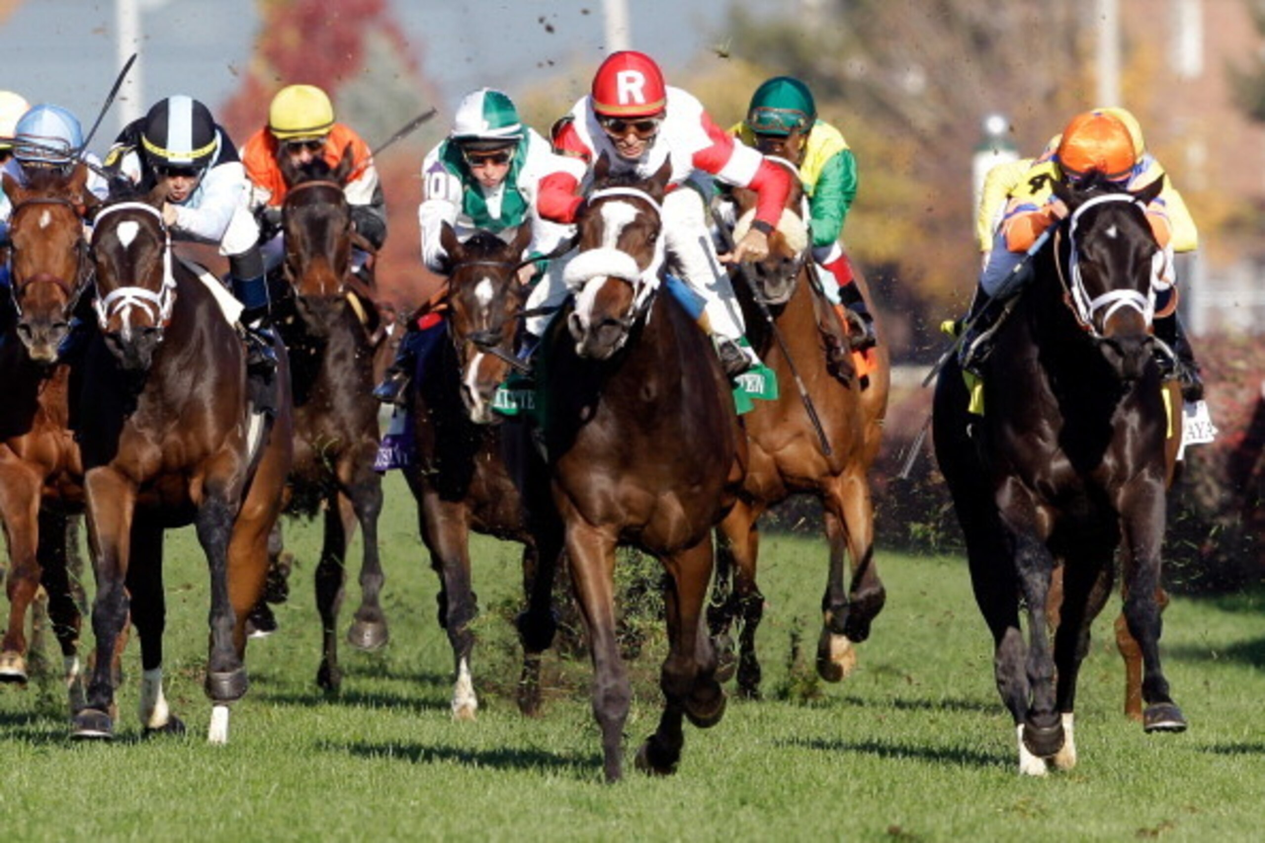 LOUISVILLE, KY - NOVEMBER 04: Jockey John Velazques guides Stephanie's Kitten #5 (C) to win the Breeders' Cup Juvenile Fillies Turf during the 2011 Breeders' Cup World Championships at Churchill Downs on November 4, 2011 in Louisville, Kentucky.  (Photo b