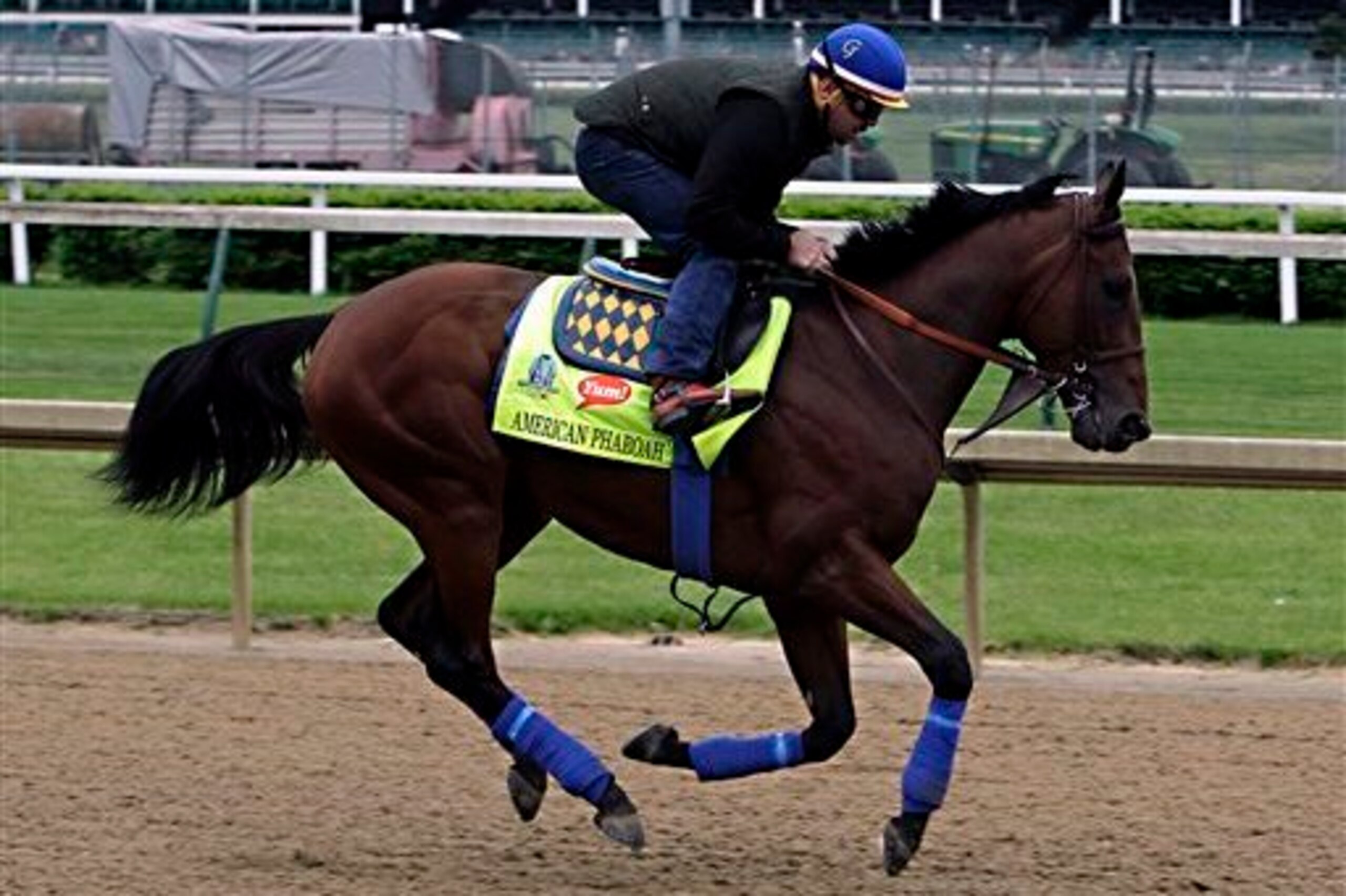American Pharoah is the favourite to win the Derby. American Pharoah is the favourite to win the Derby.