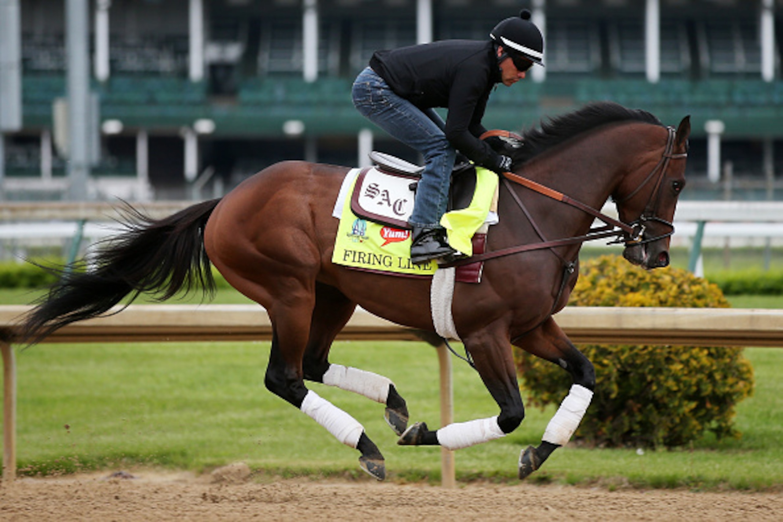 LOUISVILLE, KY - APRIL 30:  Firing Line goes over the track during morning training for the Kentucky Derby at Churchill Downs on April 30, 2015 in Louisville, Kentucky.  (Photo by Chris Graythen/Getty Images)