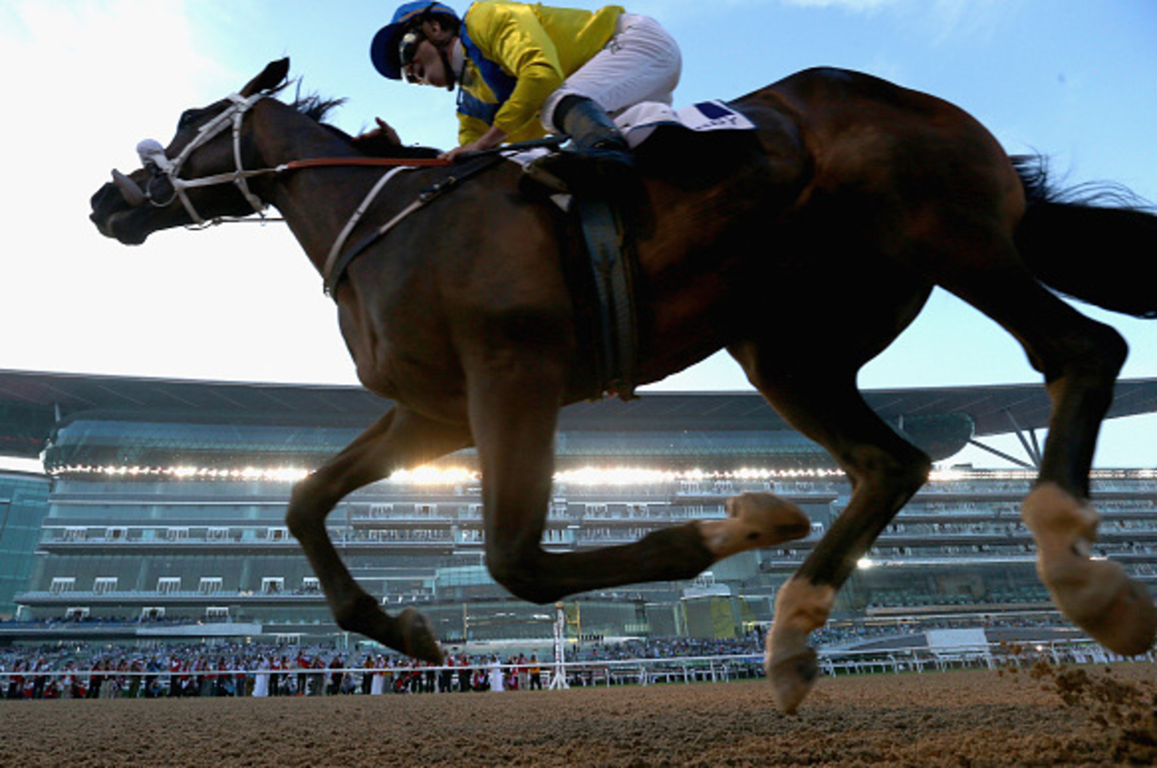 DUBAI, UNITED ARAB EMIRATES - MARCH 28:  Mubtaahij ridden by Christophe Soumillon wins the UAE Derby during the Dubai World Cup at the Meydan Racecourse on March 28, 2015 in Dubai, United Arab Emirates.  (Photo by Warren Little/Getty Images)